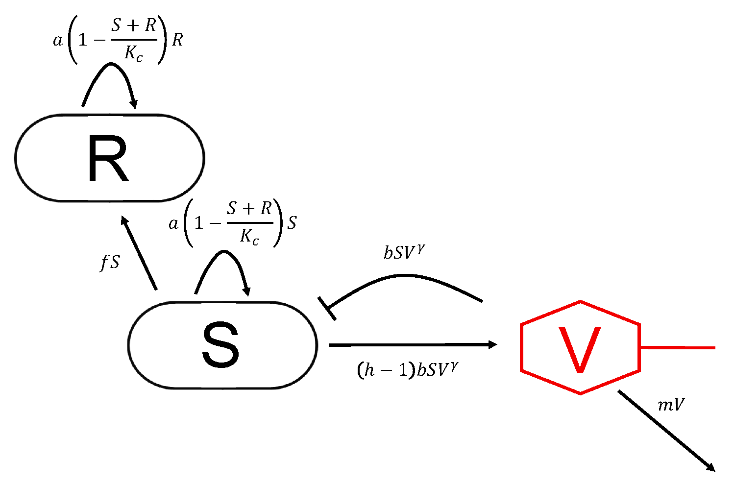 Antibiotics 09 00408 g001