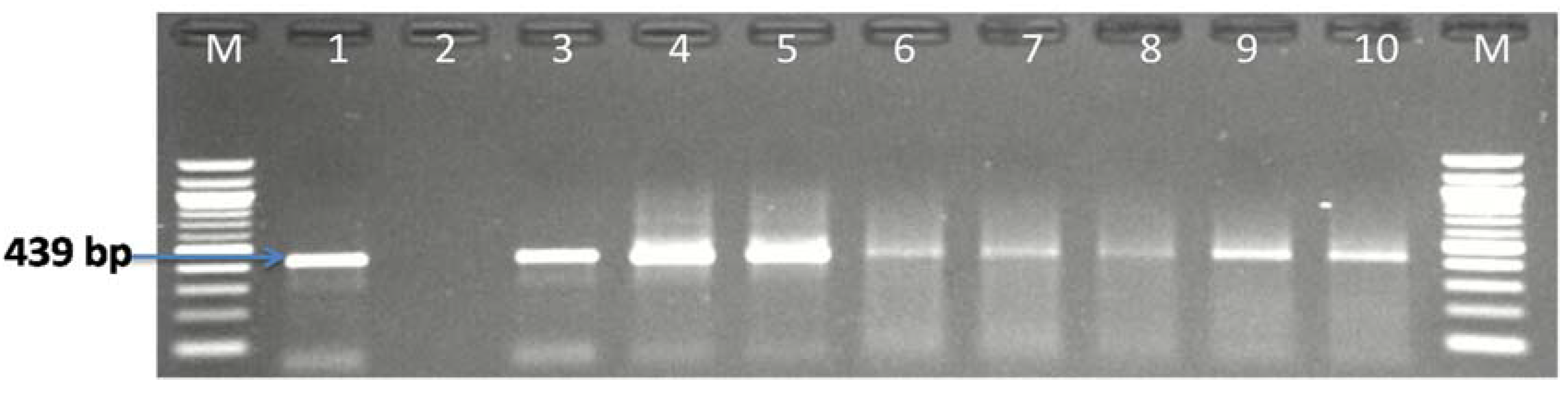 Antibiotics 09 00426 g002 Antibiotics 09 00426 g002