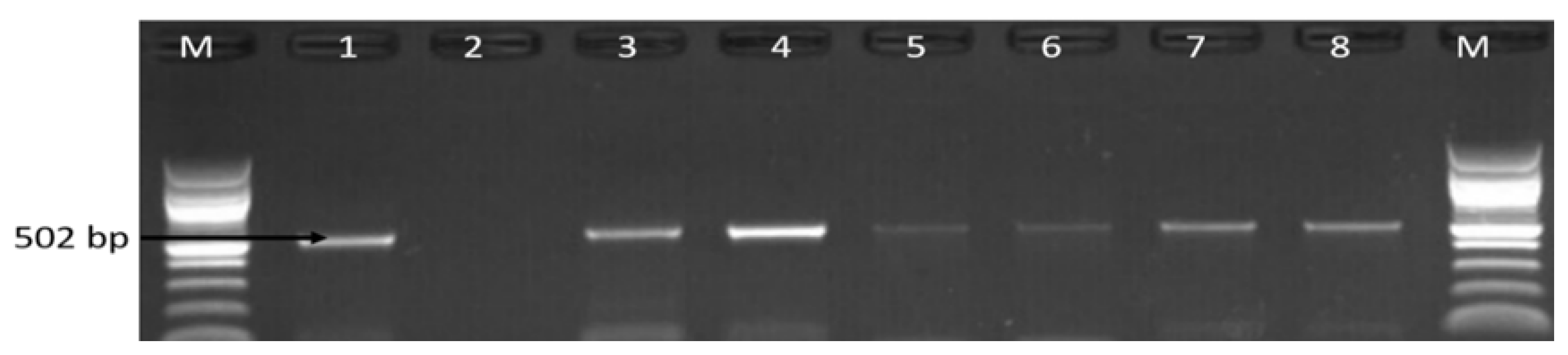 Antibiotics 09 00426 g003 Antibiotics 09 00426 g003