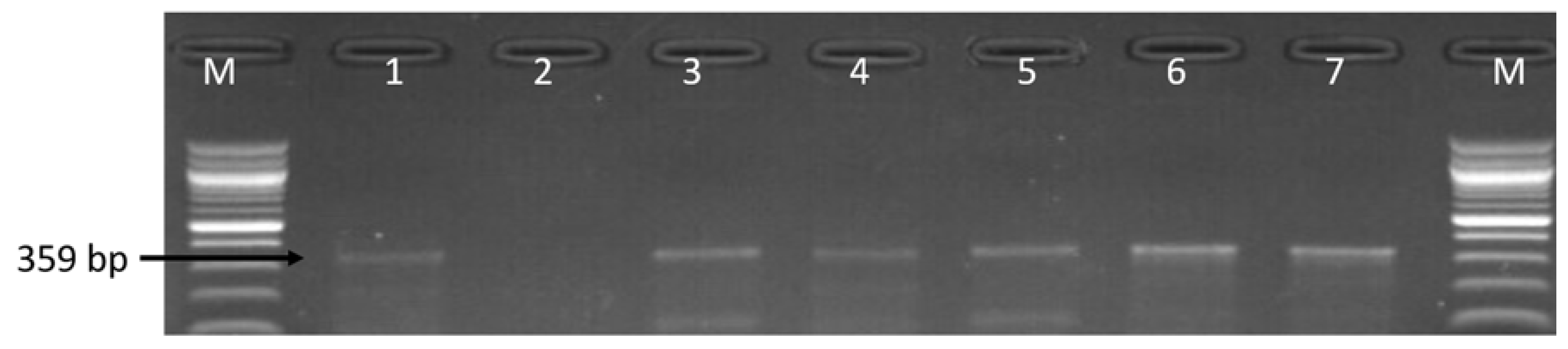 Antibiotics 09 00426 g004 Antibiotics 09 00426 g004