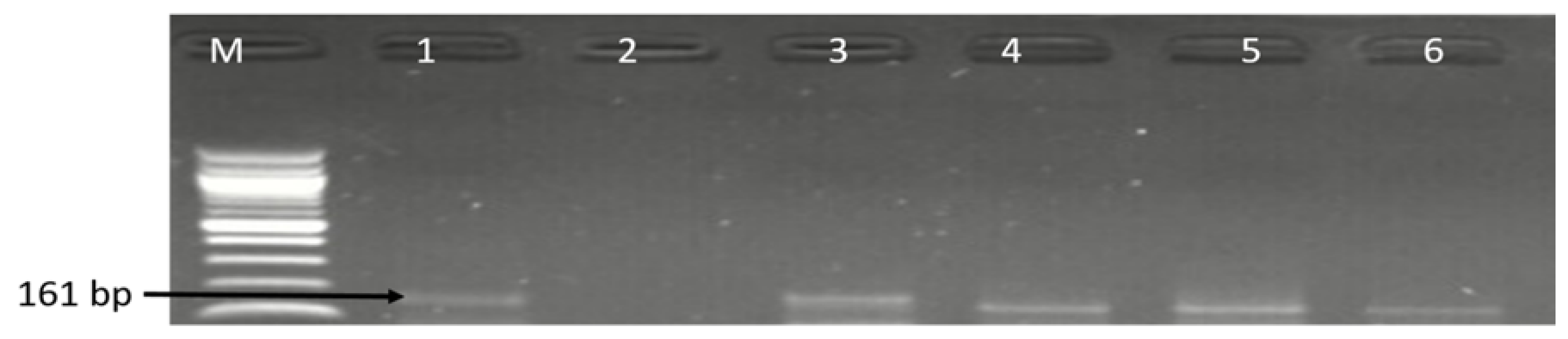 Antibiotics 09 00426 g005 Antibiotics 09 00426 g005