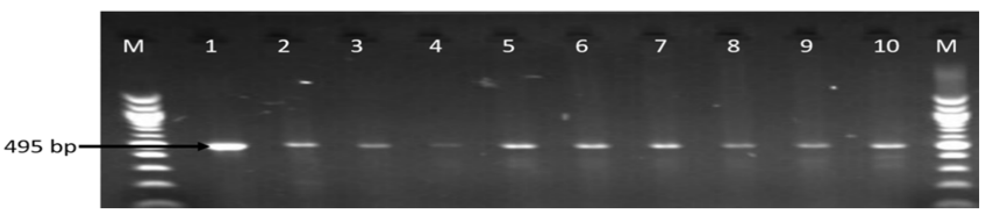 Antibiotics 09 00426 g007 Antibiotics 09 00426 g007