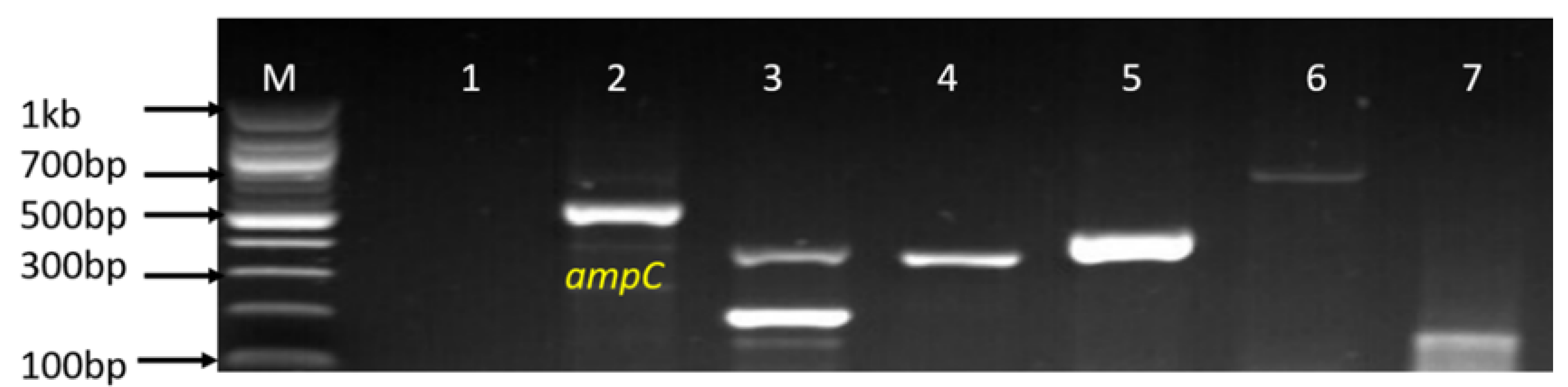 Antibiotics 09 00426 g009 Antibiotics 09 00426 g009