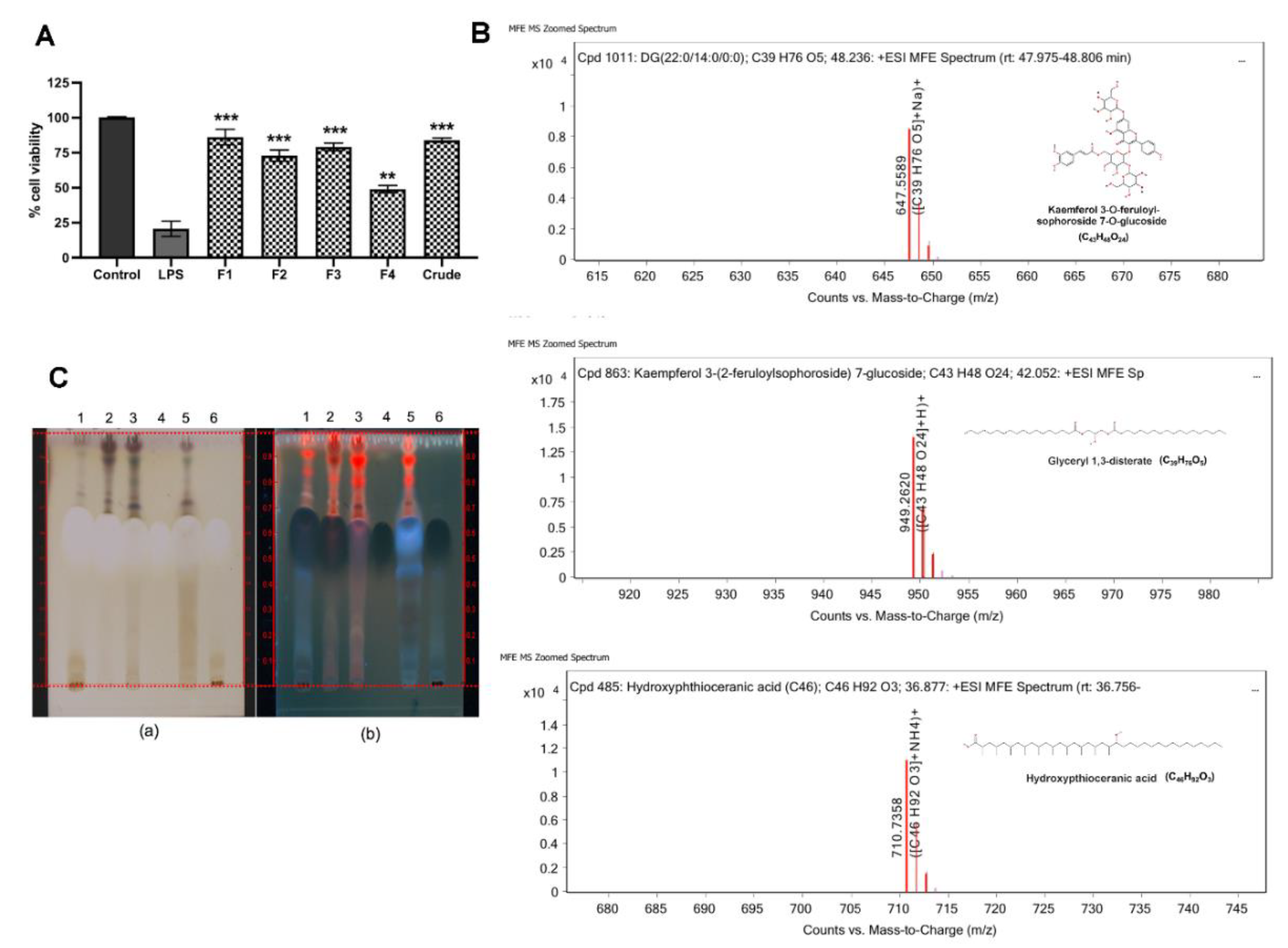 Antibiotics 09 00429 g004
