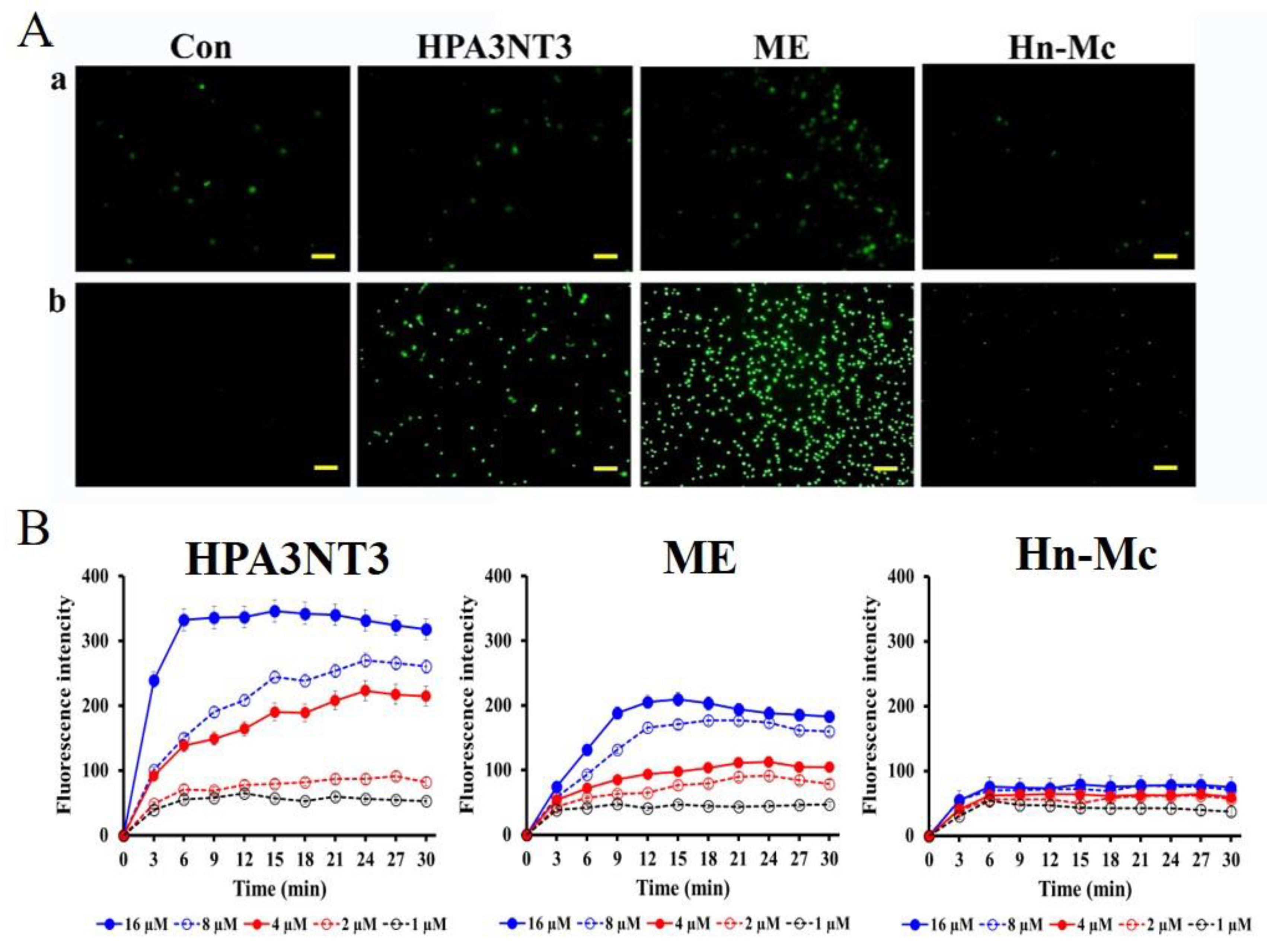 Antibiotics 09 00454 g003