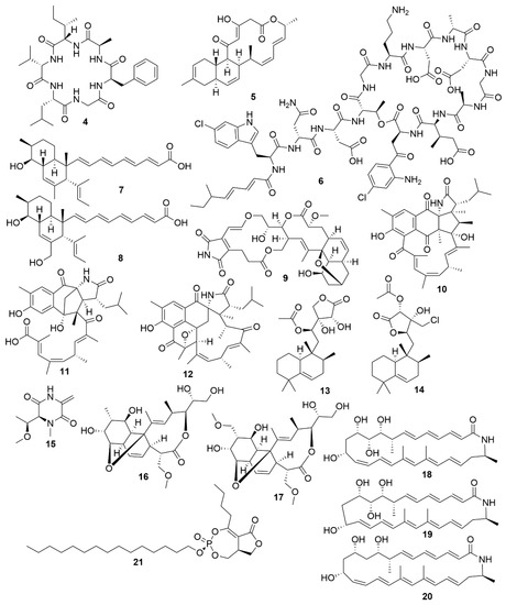 Antibiotics 09 00455 g002 550