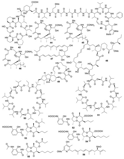 Antibiotics 09 00455 g005 550