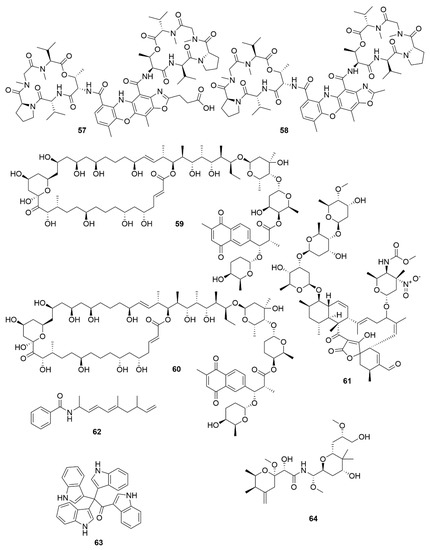 Antibiotics 09 00455 g006 550