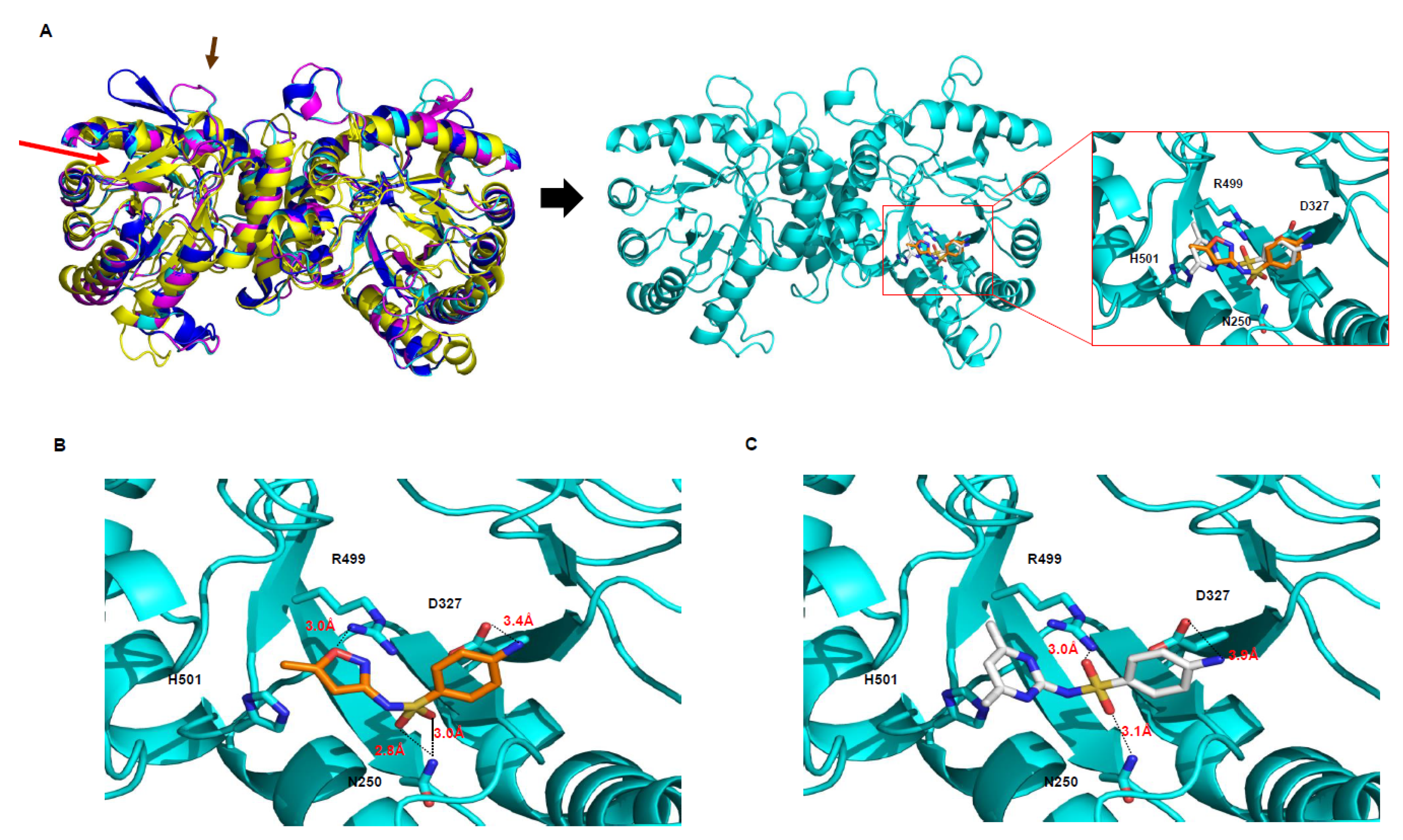Antibiotics 09 00456 g004 Antibiotics 09 00456 g004