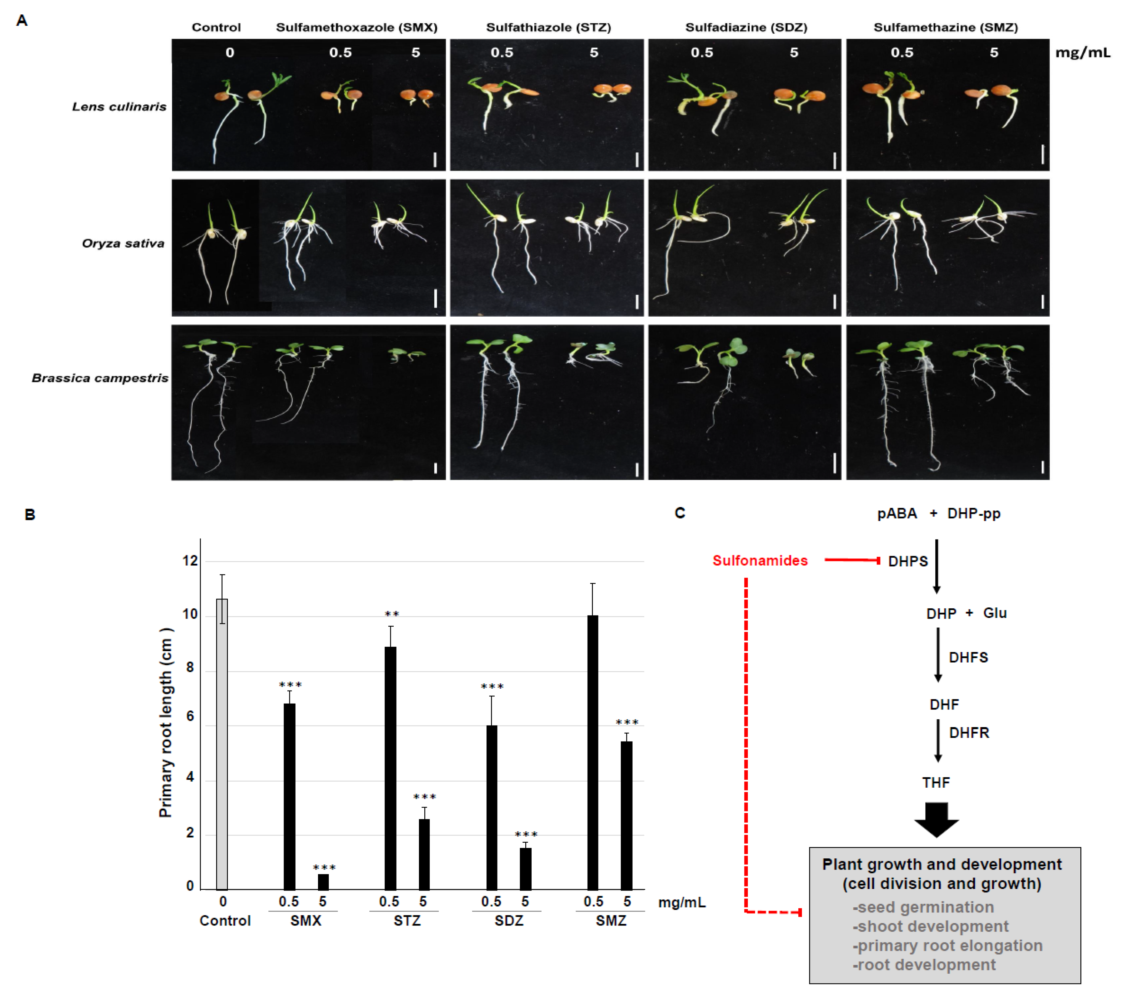 Antibiotics 09 00456 g005 Antibiotics 09 00456 g005