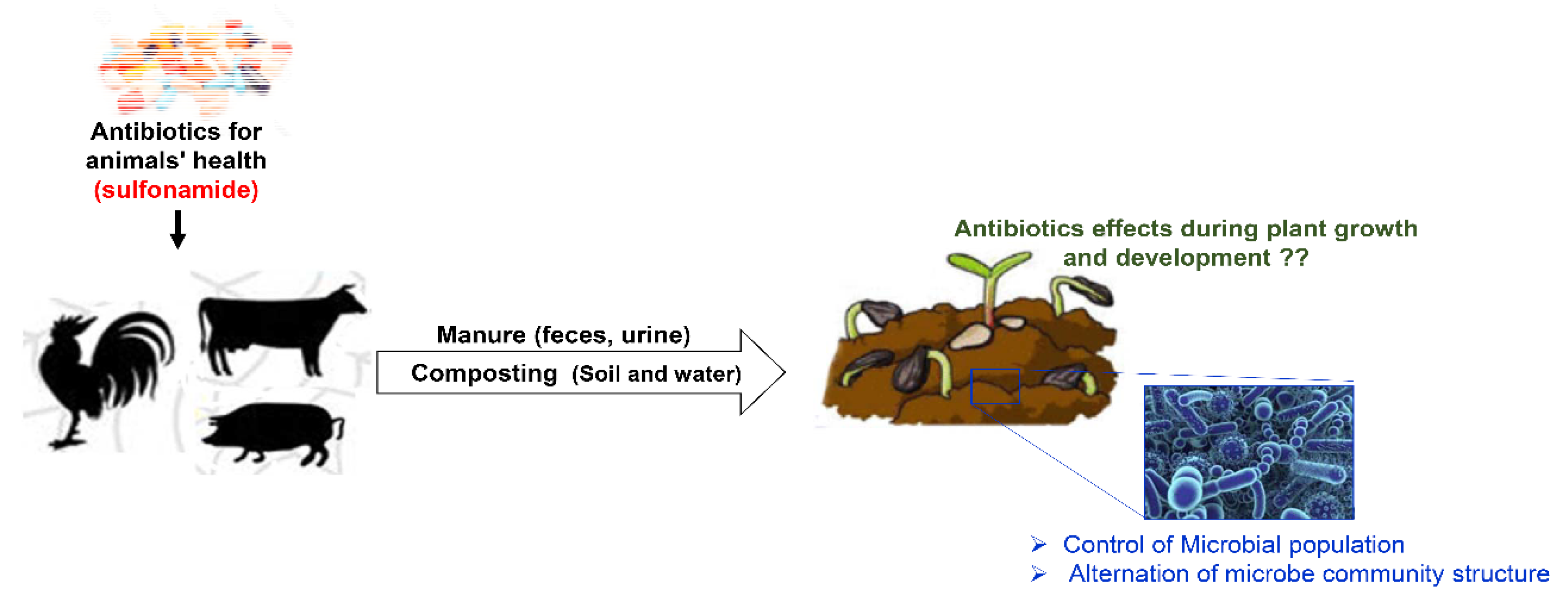Antibiotics 09 00456 g0a1 Antibiotics 09 00456 g0a1