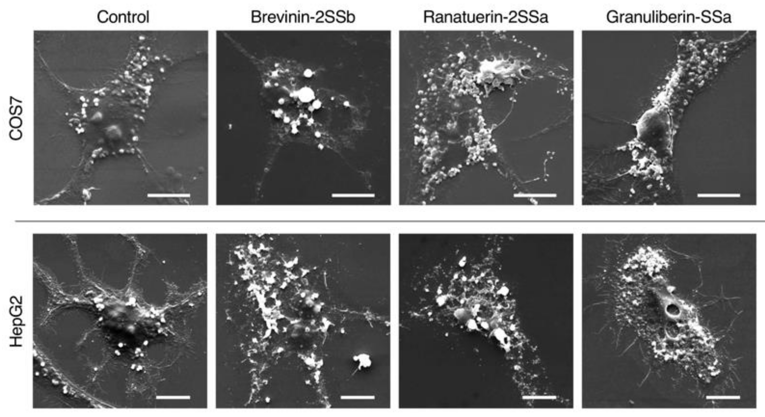 Antibiotics 09 00457 g009 Antibiotics 09 00457 g009