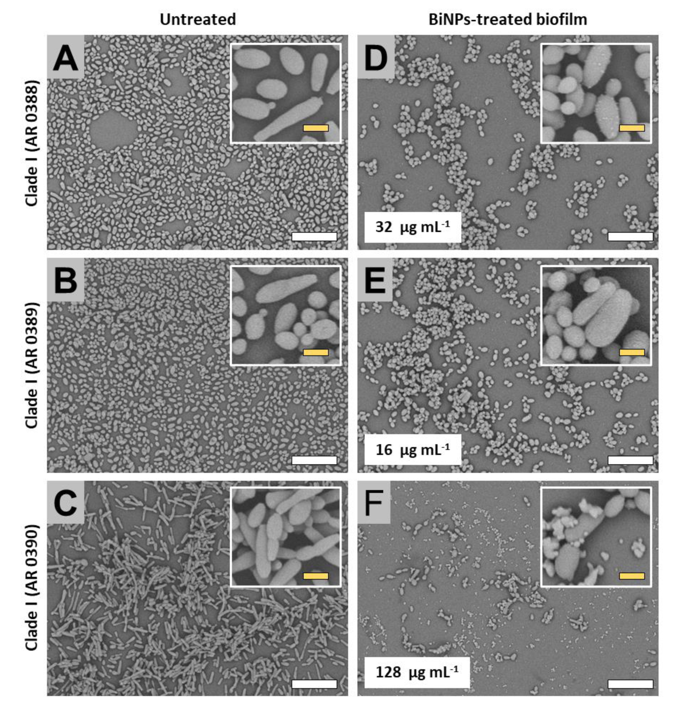Antibiotics 09 00461 g002