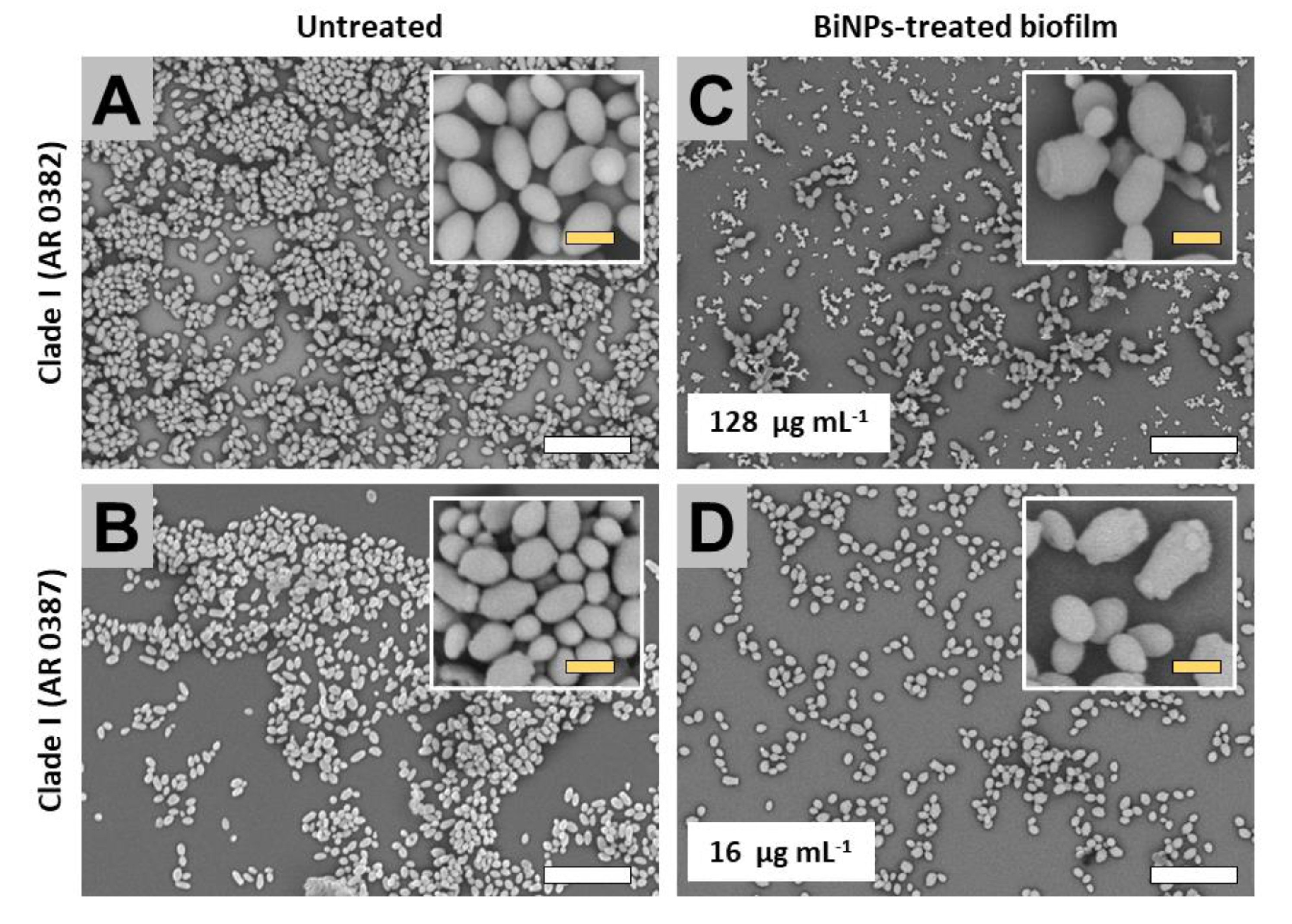 Antibiotics 09 00461 g003