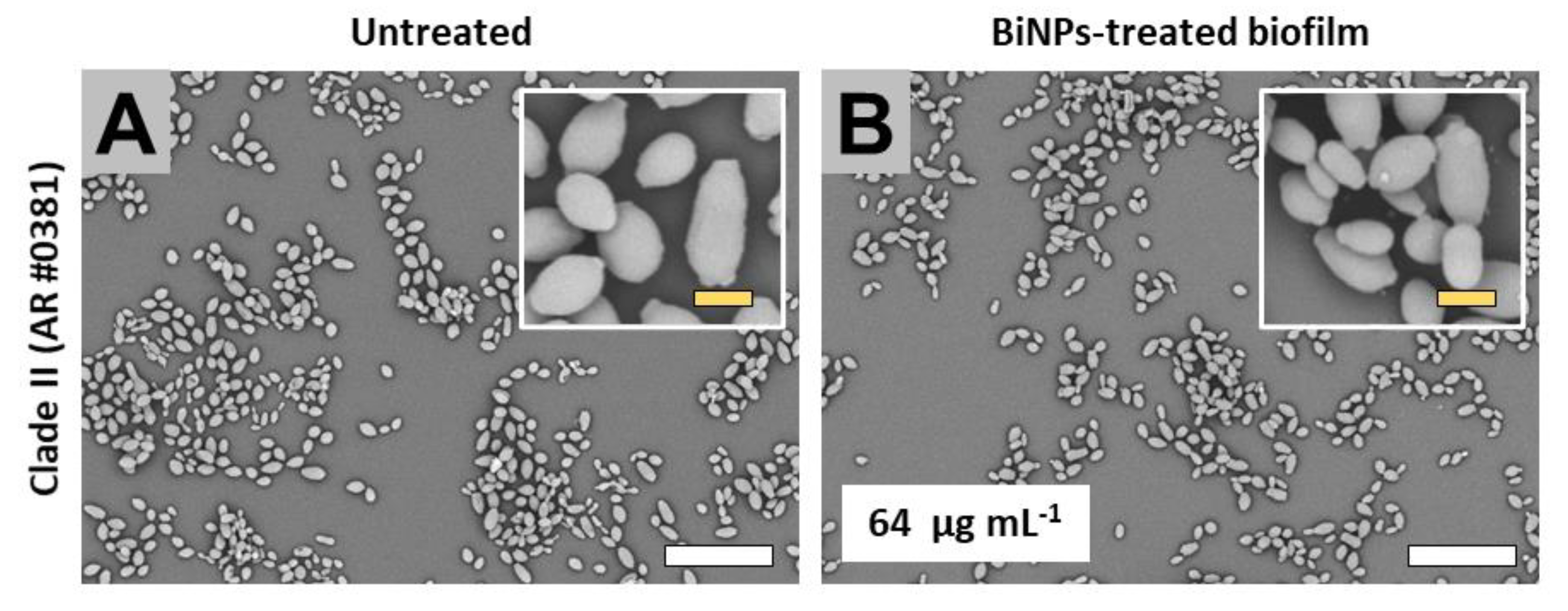 Antibiotics 09 00461 g004