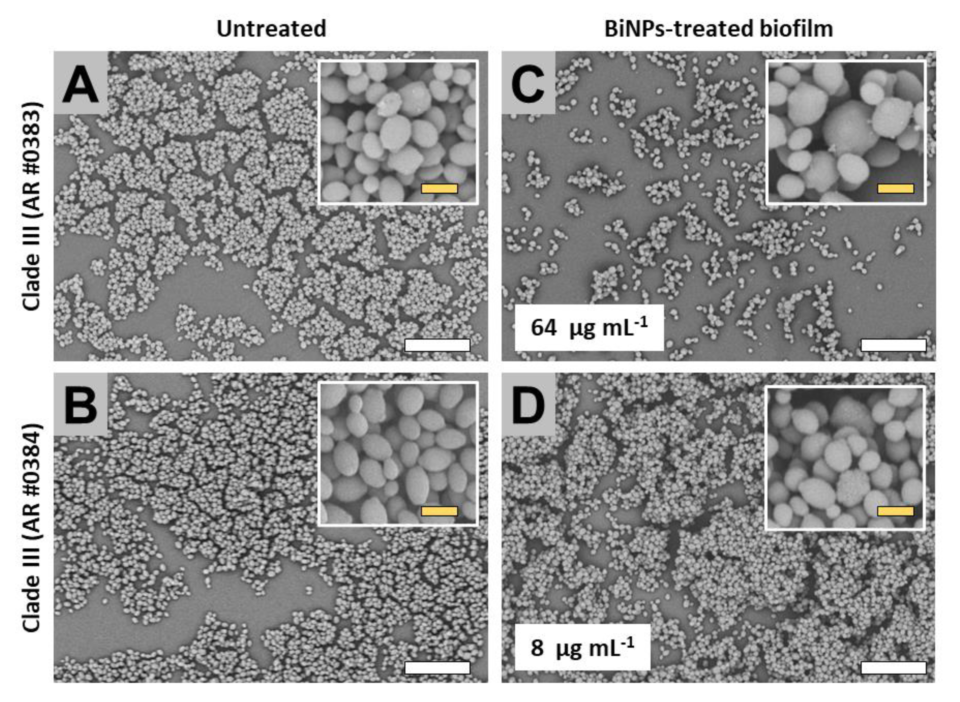 Antibiotics 09 00461 g005