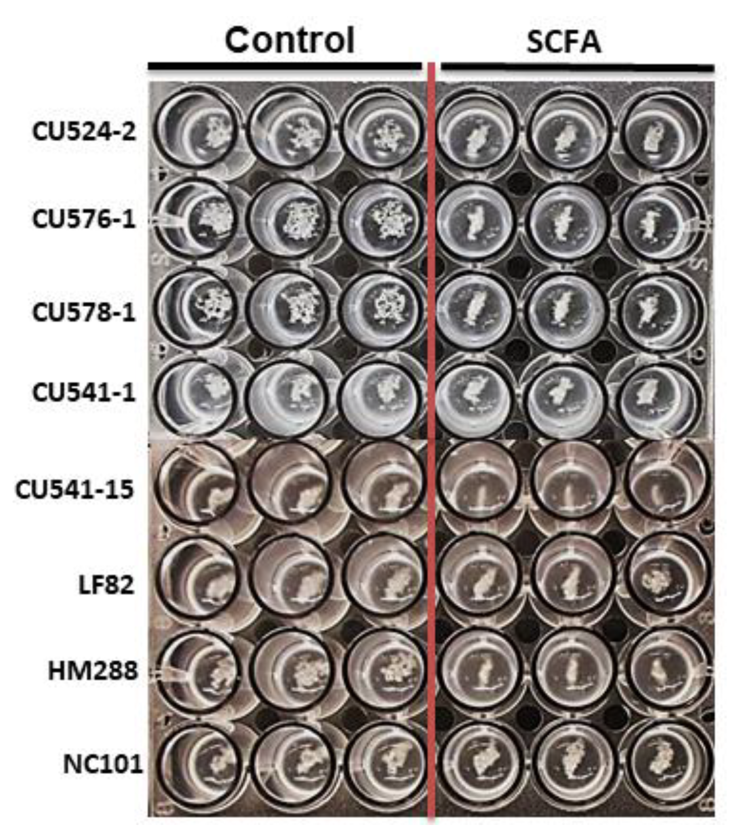 Antibiotics 09 00462 g006 Antibiotics 09 00462 g006