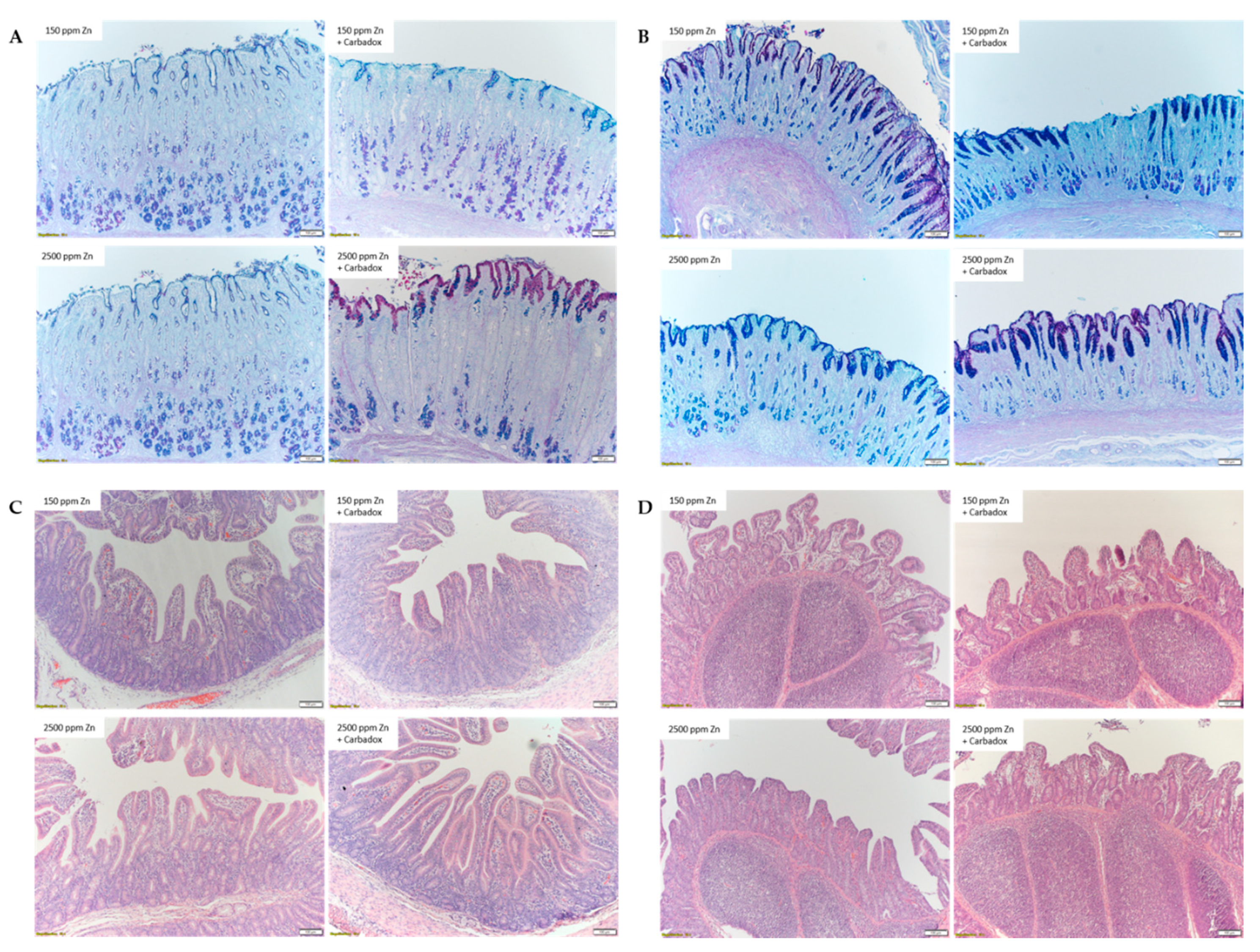 Antibiotics 09 00463 g002