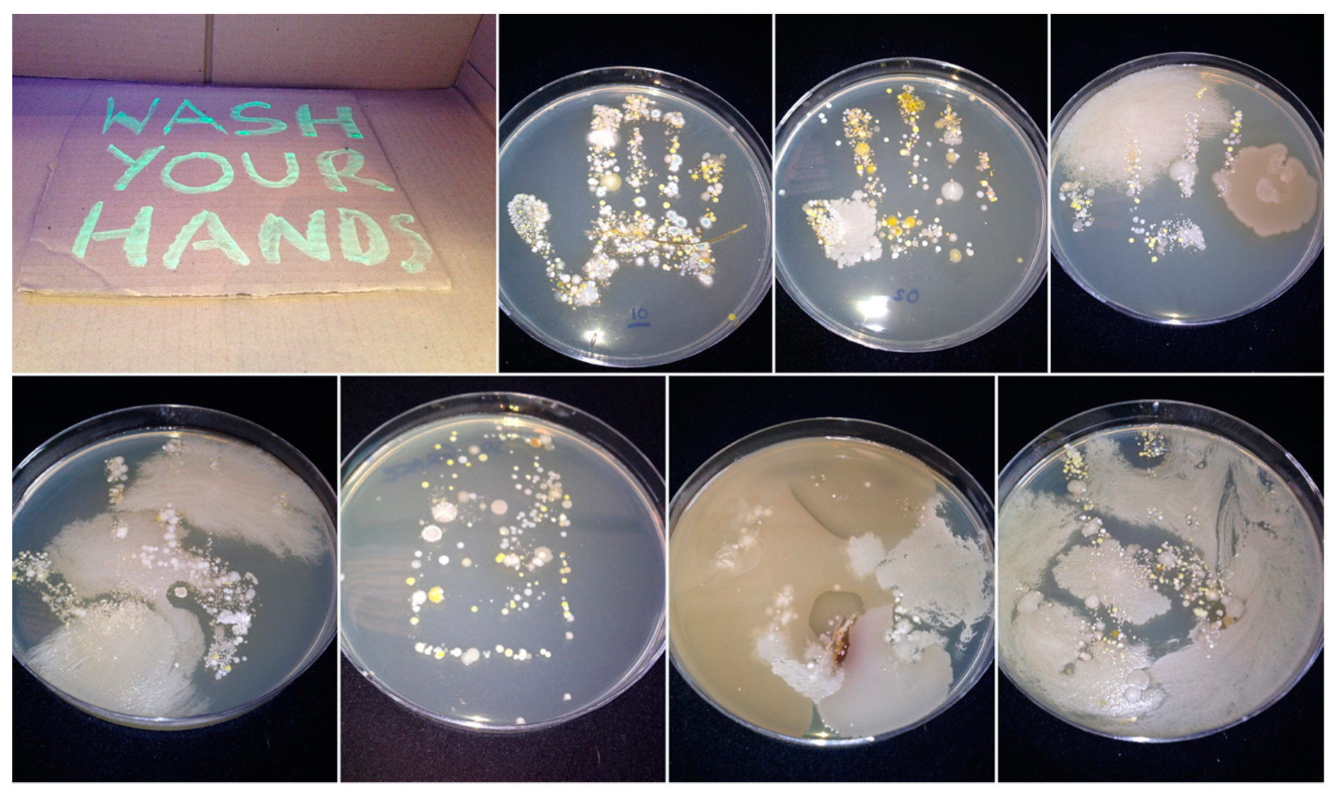 Antibiotics 09 00465 g002