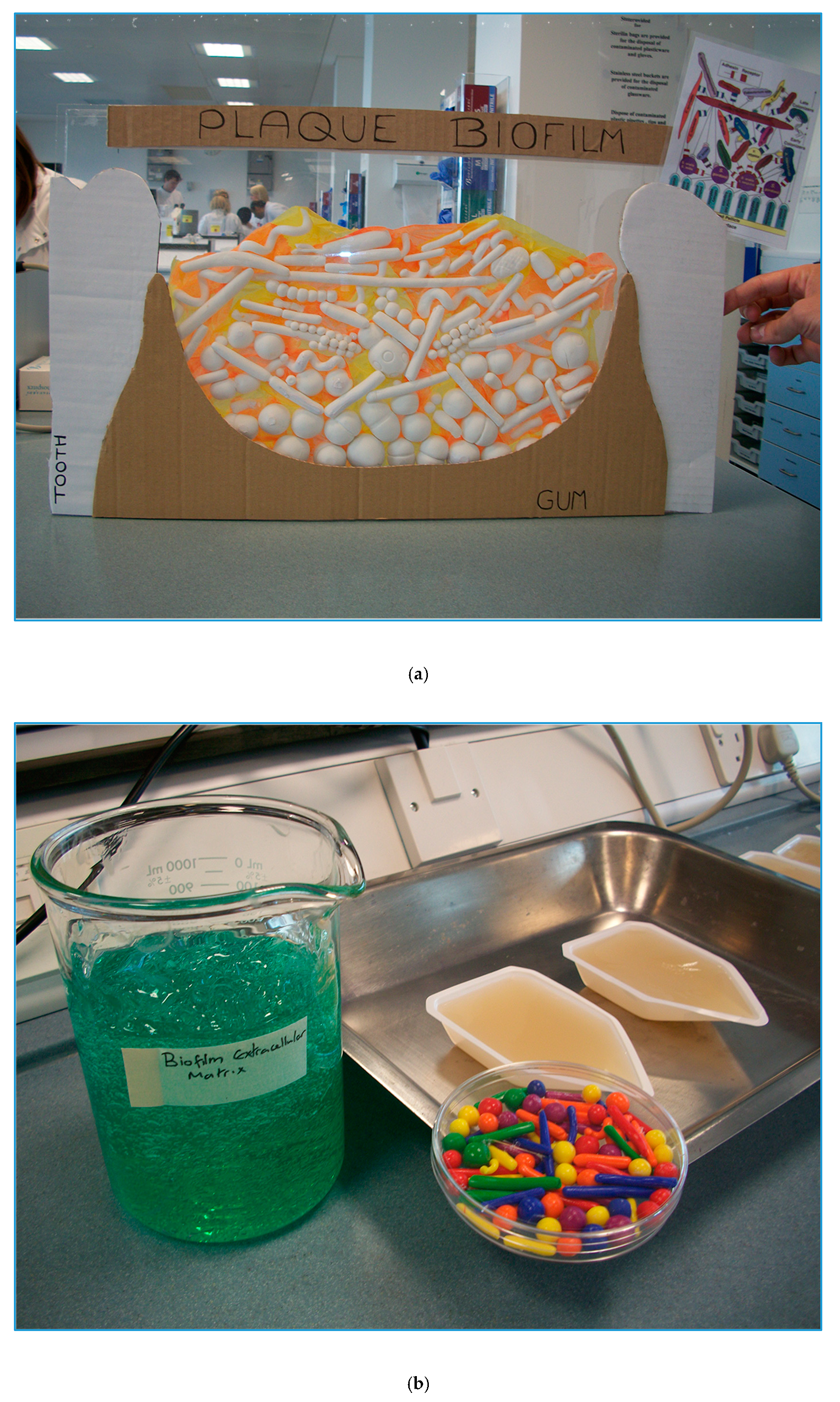 Antibiotics 09 00465 g003