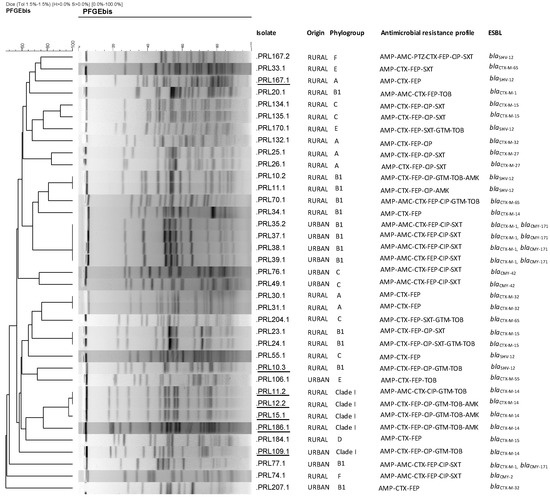 Antibiotics Free Full Text High Prevalence And Diversity Of Cephalosporin Resistant Enterobacteriaceae Including Extraintestinal Pathogenic E Coli Cc648 Lineage In Rural And Urban Dogs In Northwest Spain Html