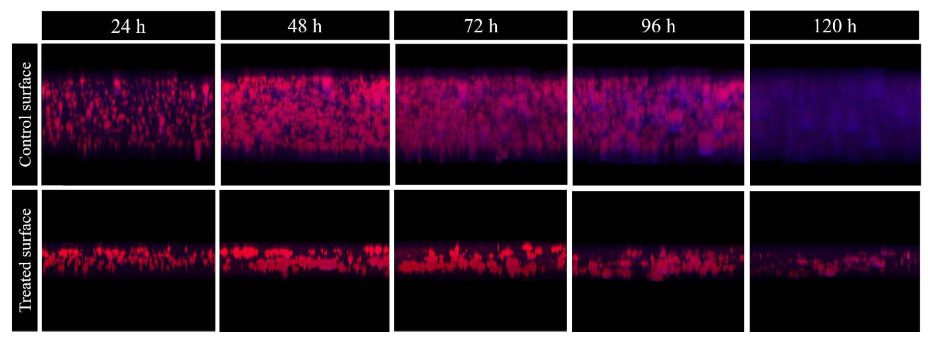 Antibiotics 09 00474 g004 Antibiotics 09 00474 g004