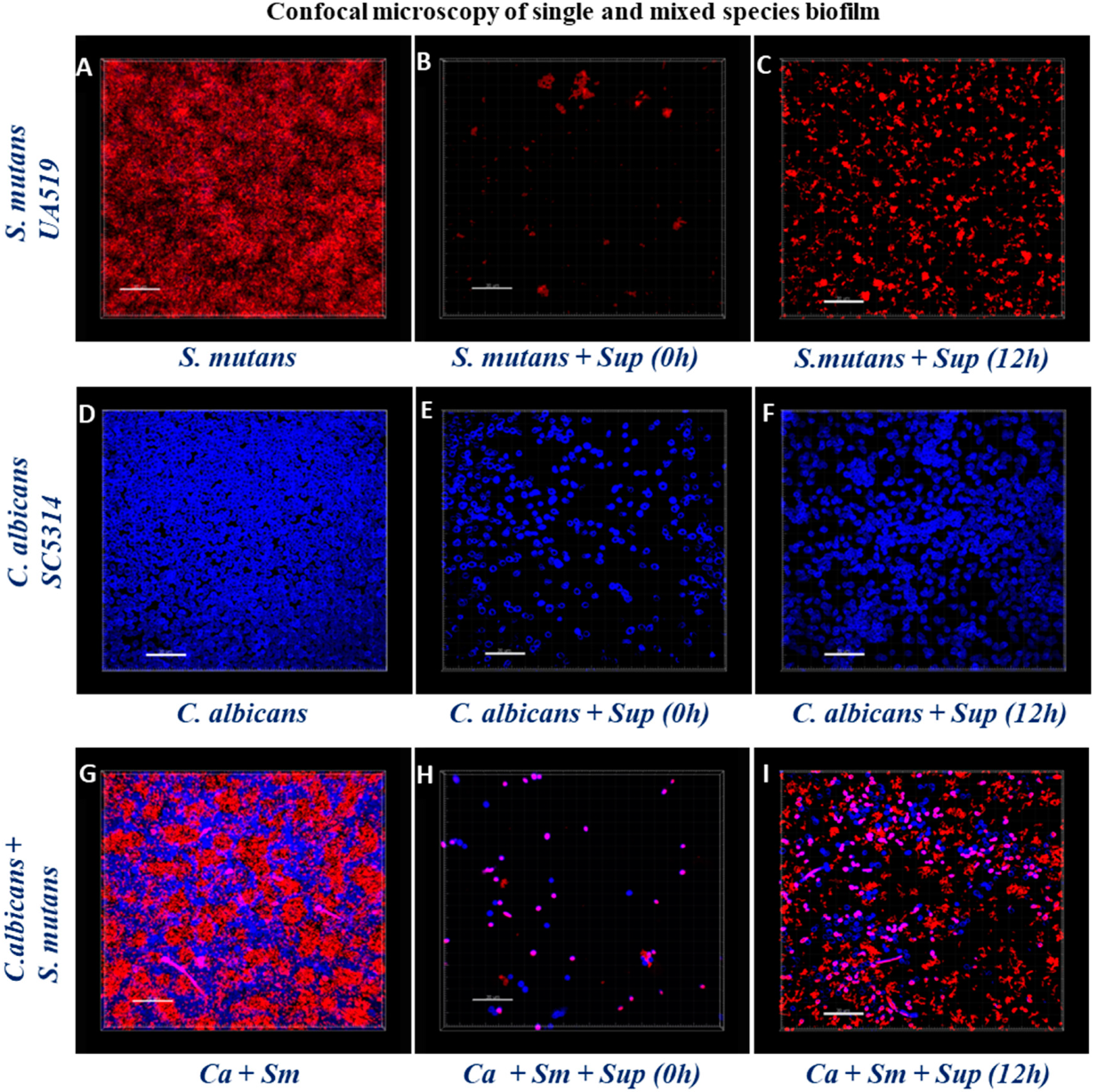 Antibiotics 09 00478 g005 Antibiotics 09 00478 g005