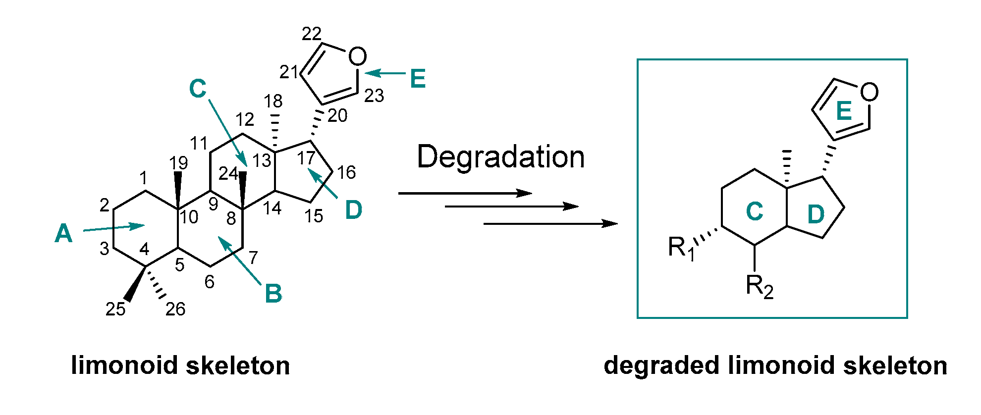 Antibiotics 09 00488 g002 Antibiotics 09 00488 g002