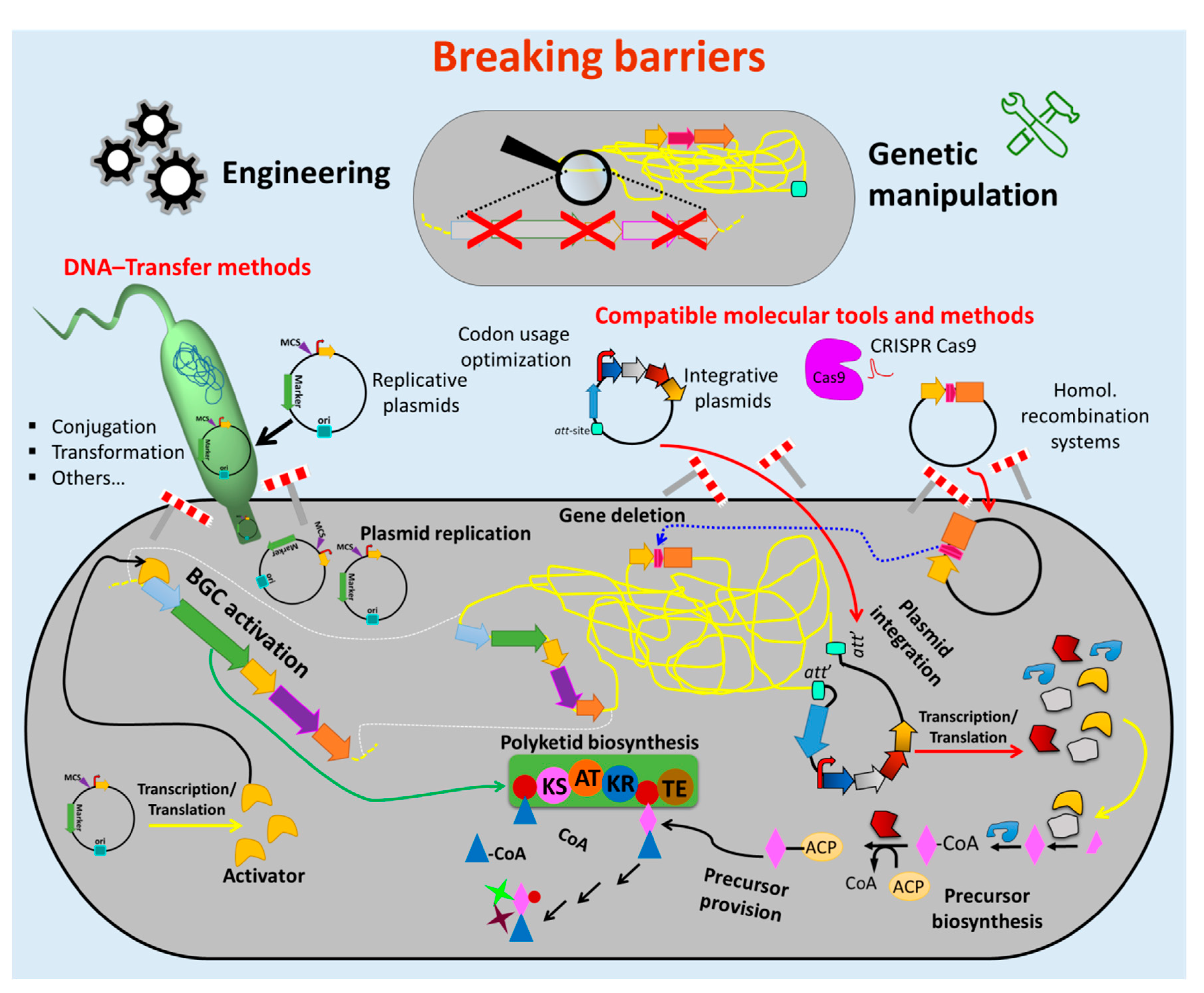 Antibiotics 09 00494 g002 Antibiotics 09 00494 g002