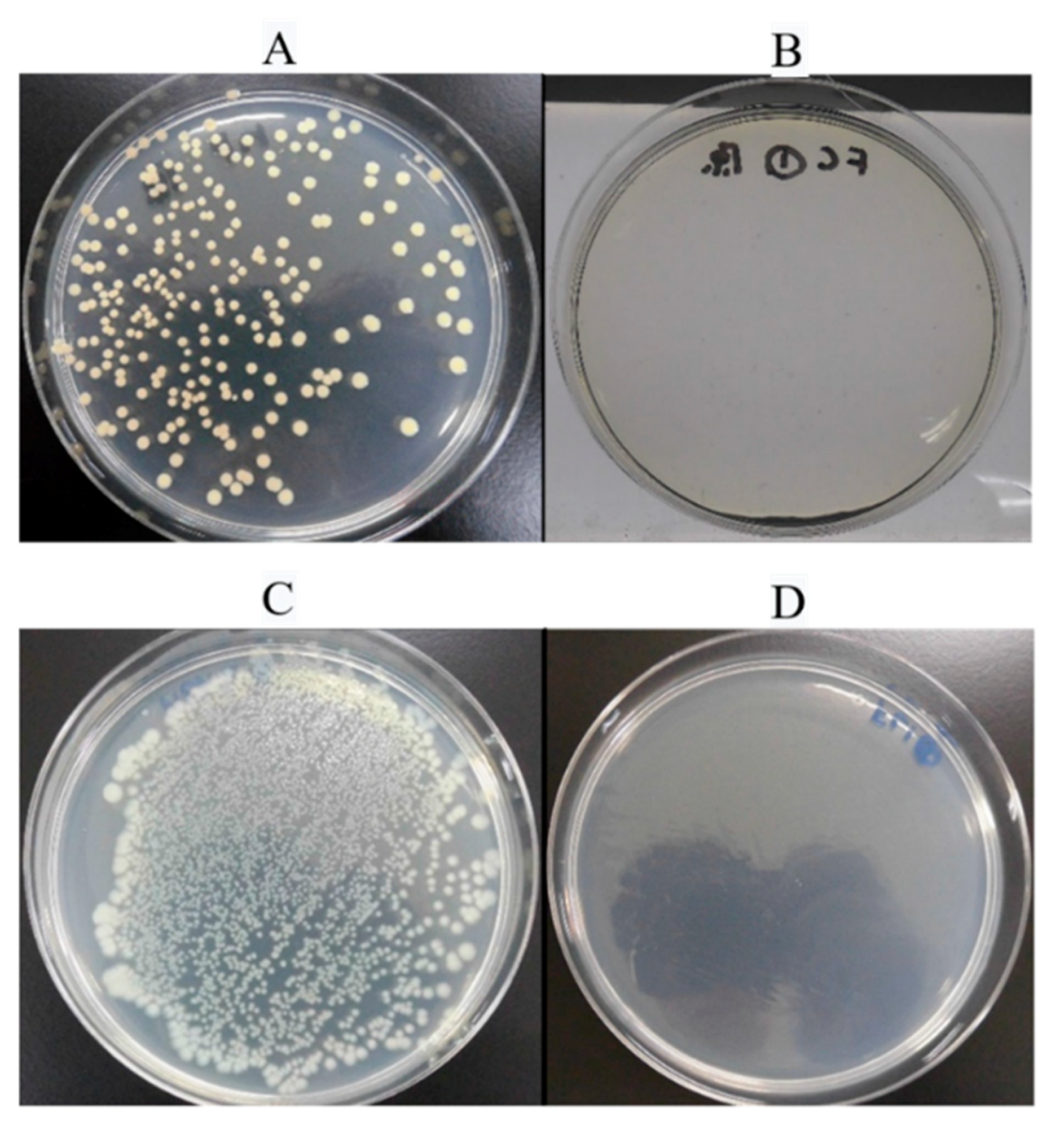 Antibiotics 09 00495 g006