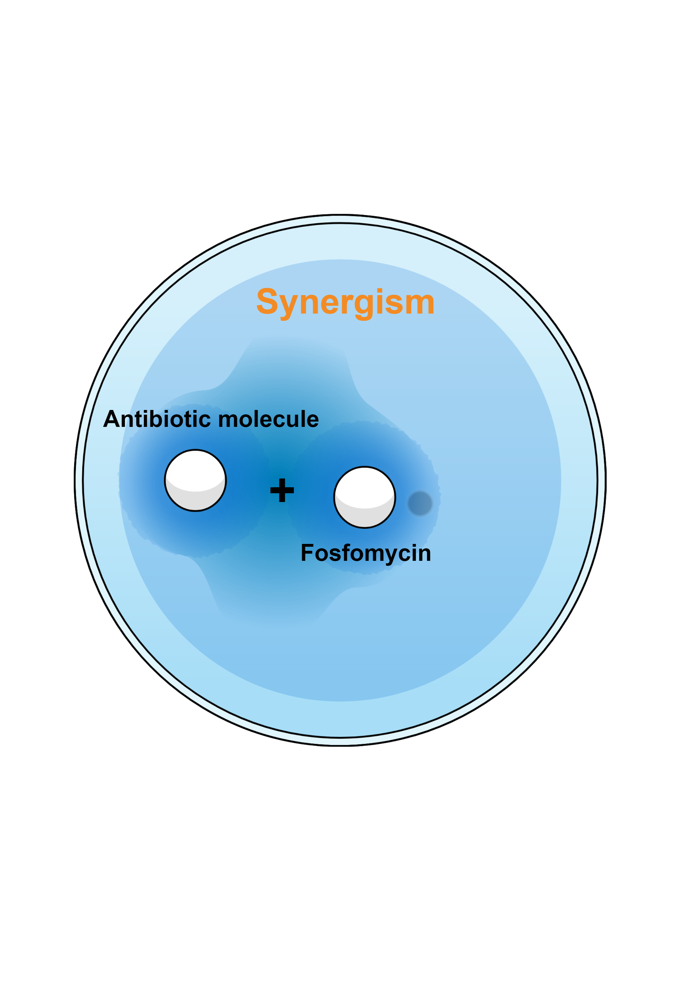Antibiotics Free Full Text Fosfomycin As Partner Drug For Systemic Infection Management A Systematic Review Of Its Synergistic Properties From In Vitro And In Vivo Studies Html