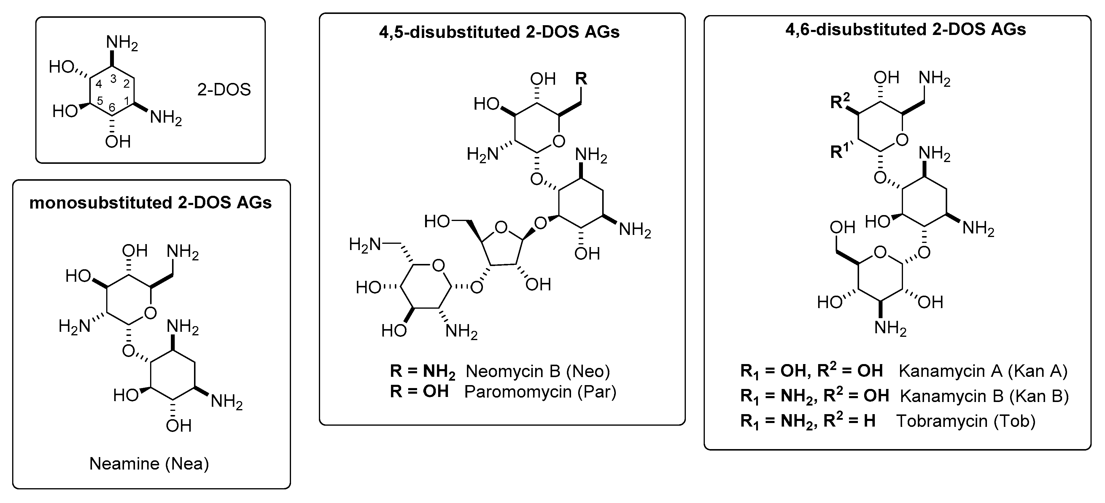 Antibiotics Free Full Text Aminoglycosides From Antibiotics To Building Blocks For The Synthesis And Development Of Gene Delivery Vehicles Html Antibiotics Free Full Text Aminoglycosides From Antibiotics To Building Blocks For The Synthesis And Development Of Gene Delivery Vehicles Html