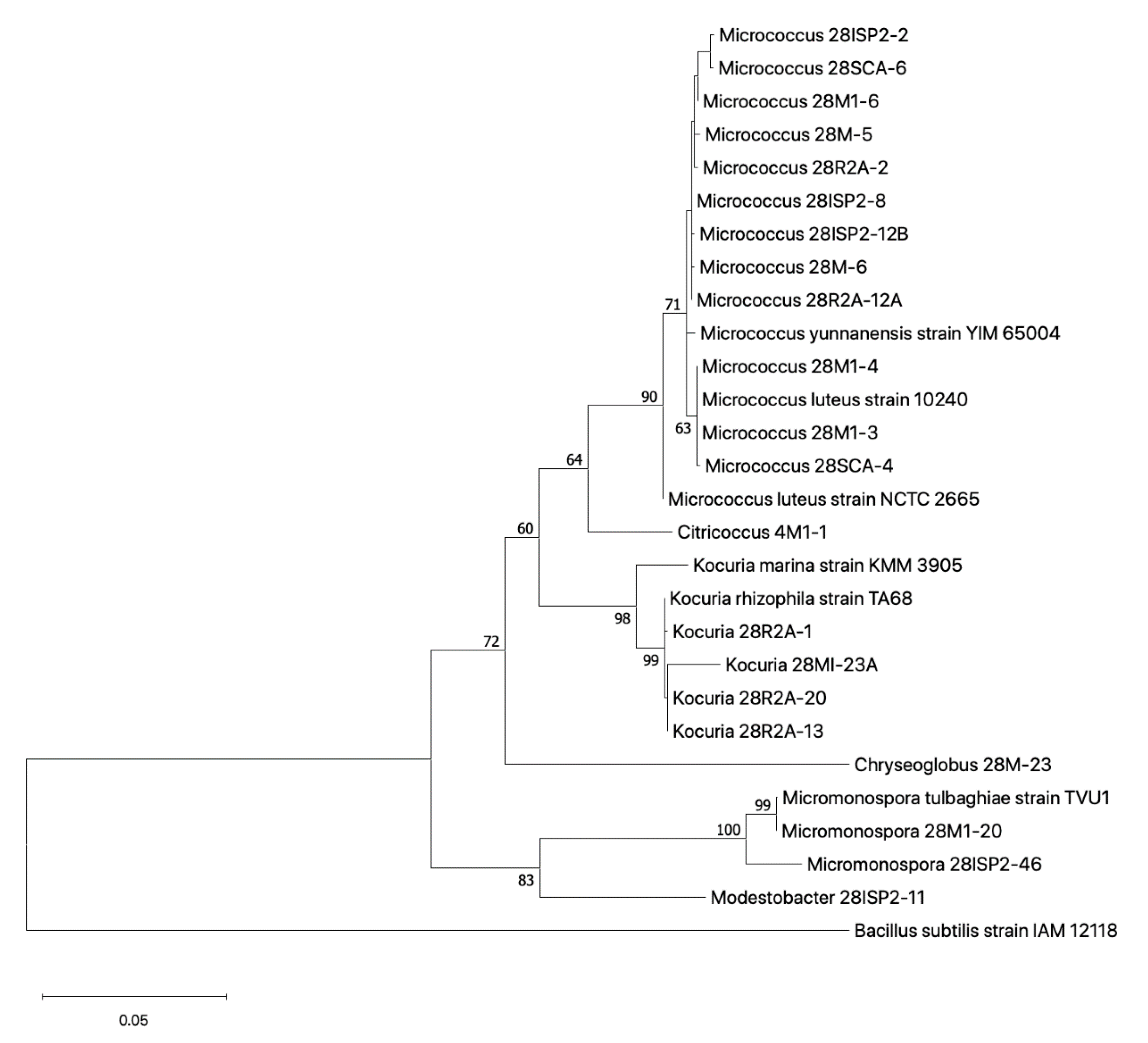 Antibiotics 09 00509 g005