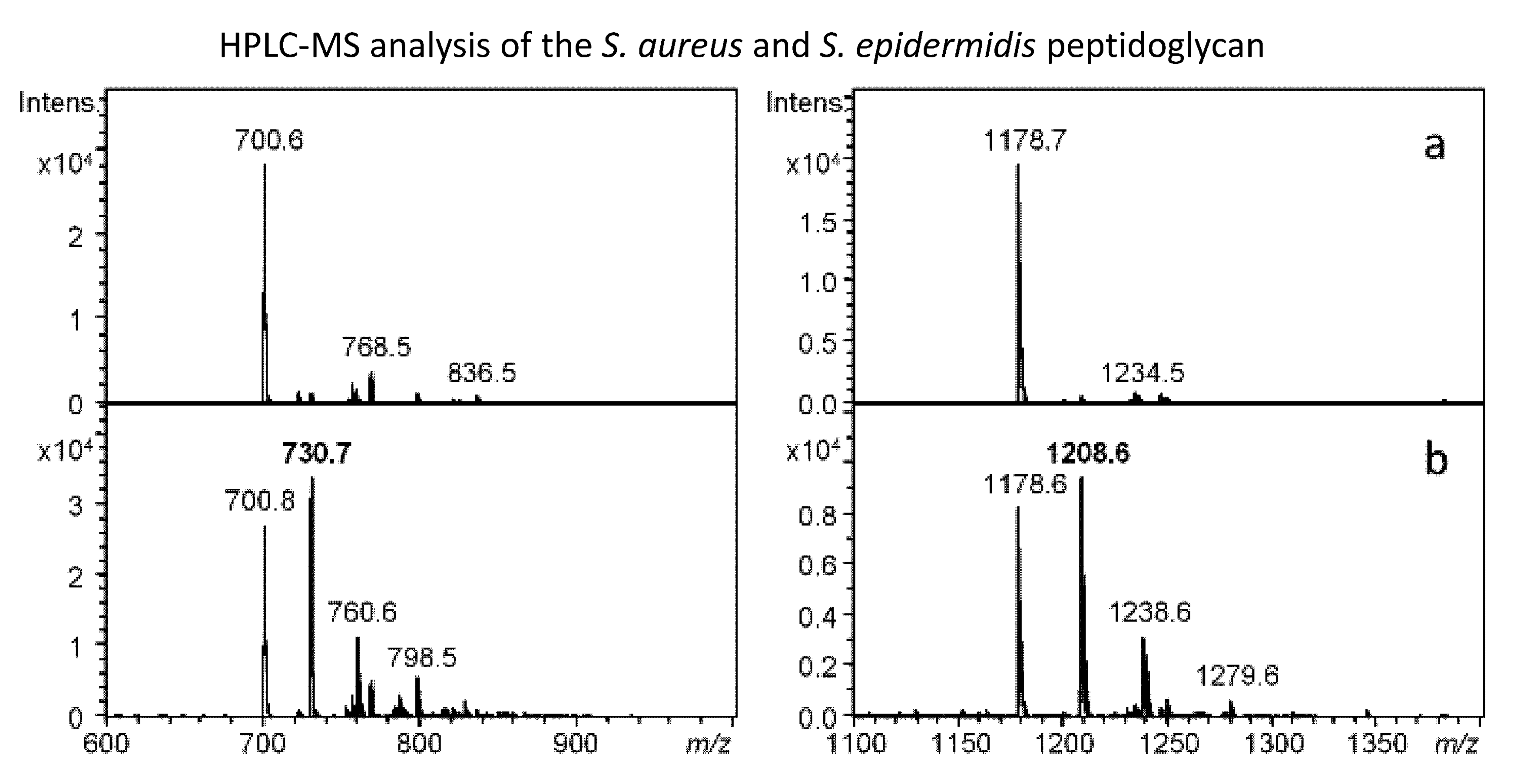 Antibiotics 09 00519 g008