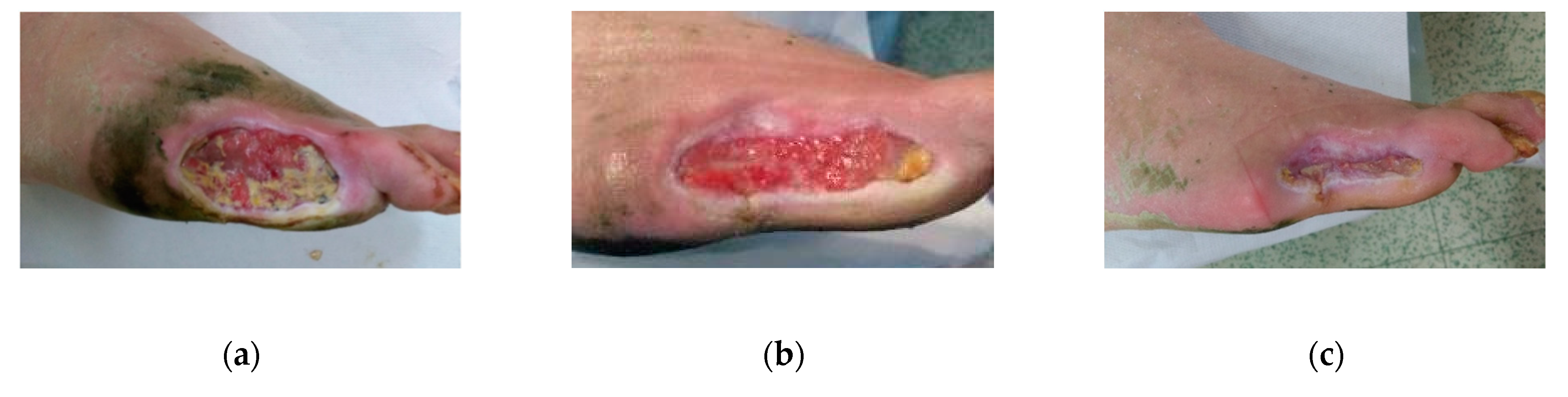 Antibiotics 09 00529 g003 Antibiotics 09 00529 g003