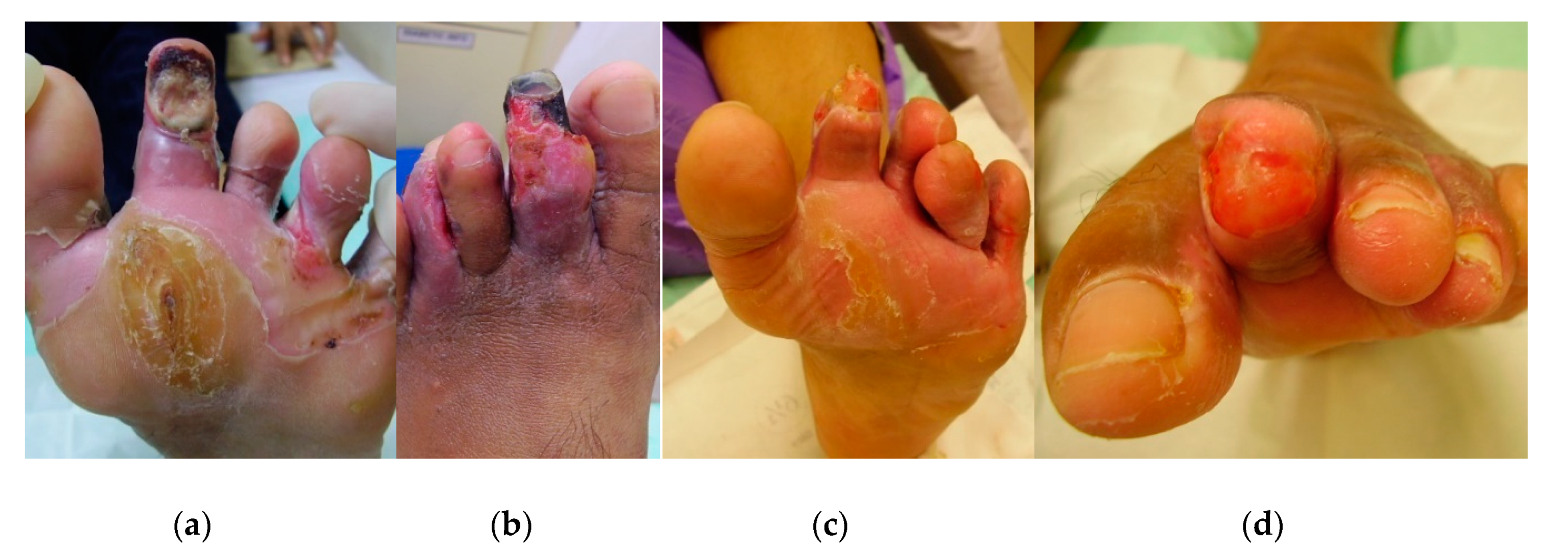 Antibiotics 09 00529 g005 Antibiotics 09 00529 g005