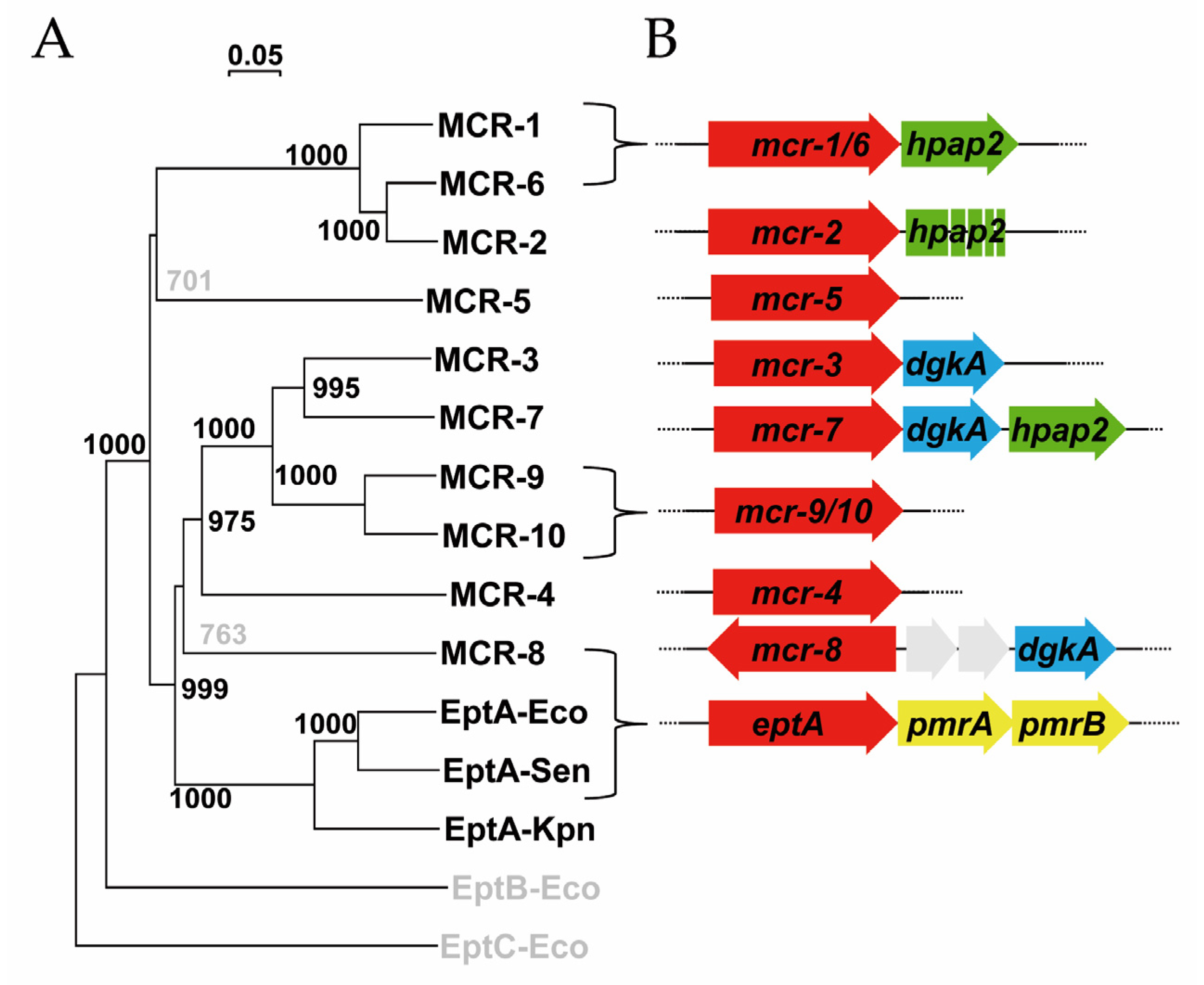Antibiotics 09 00531 g001
