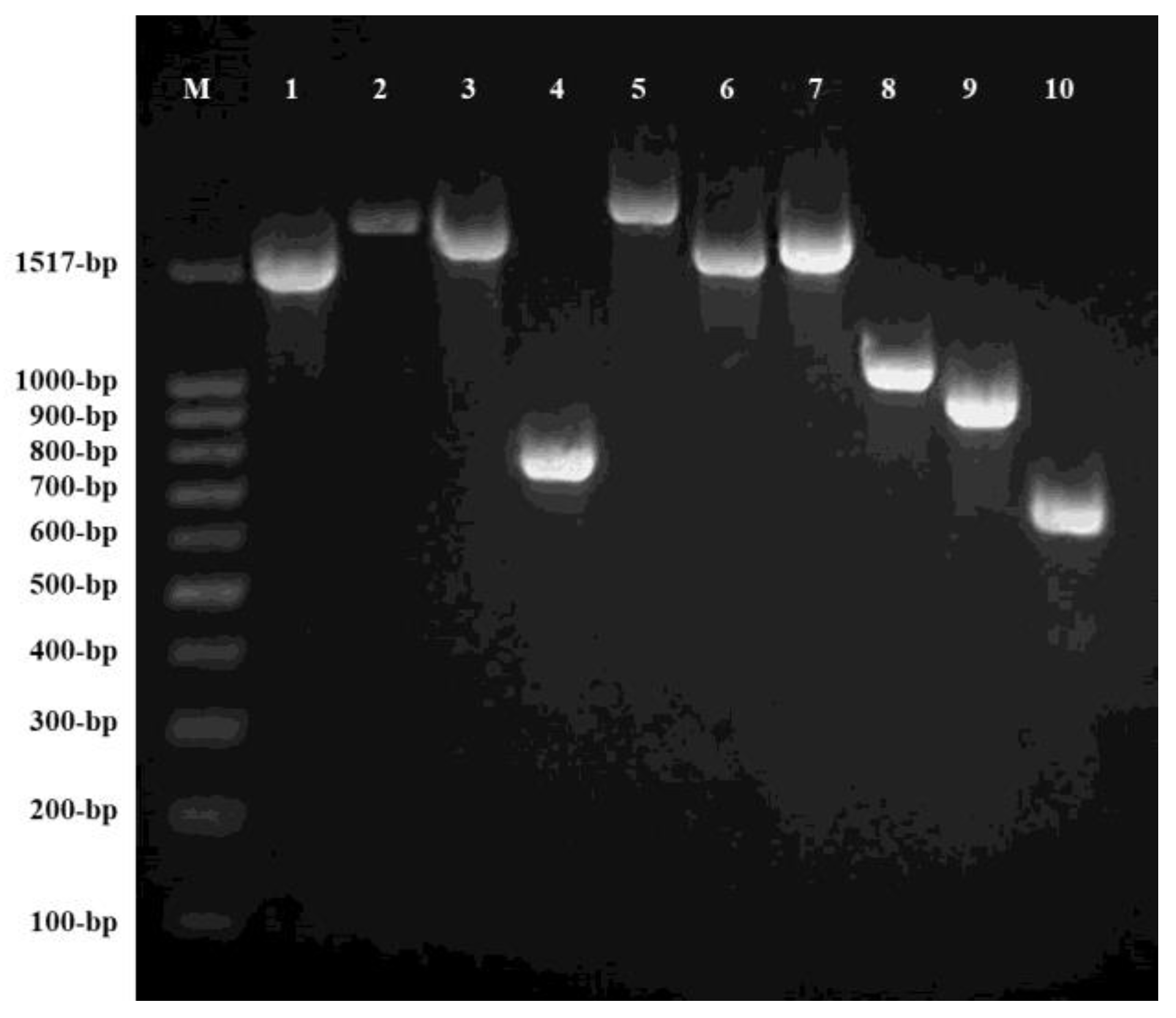 Antibiotics 09 00534 g001