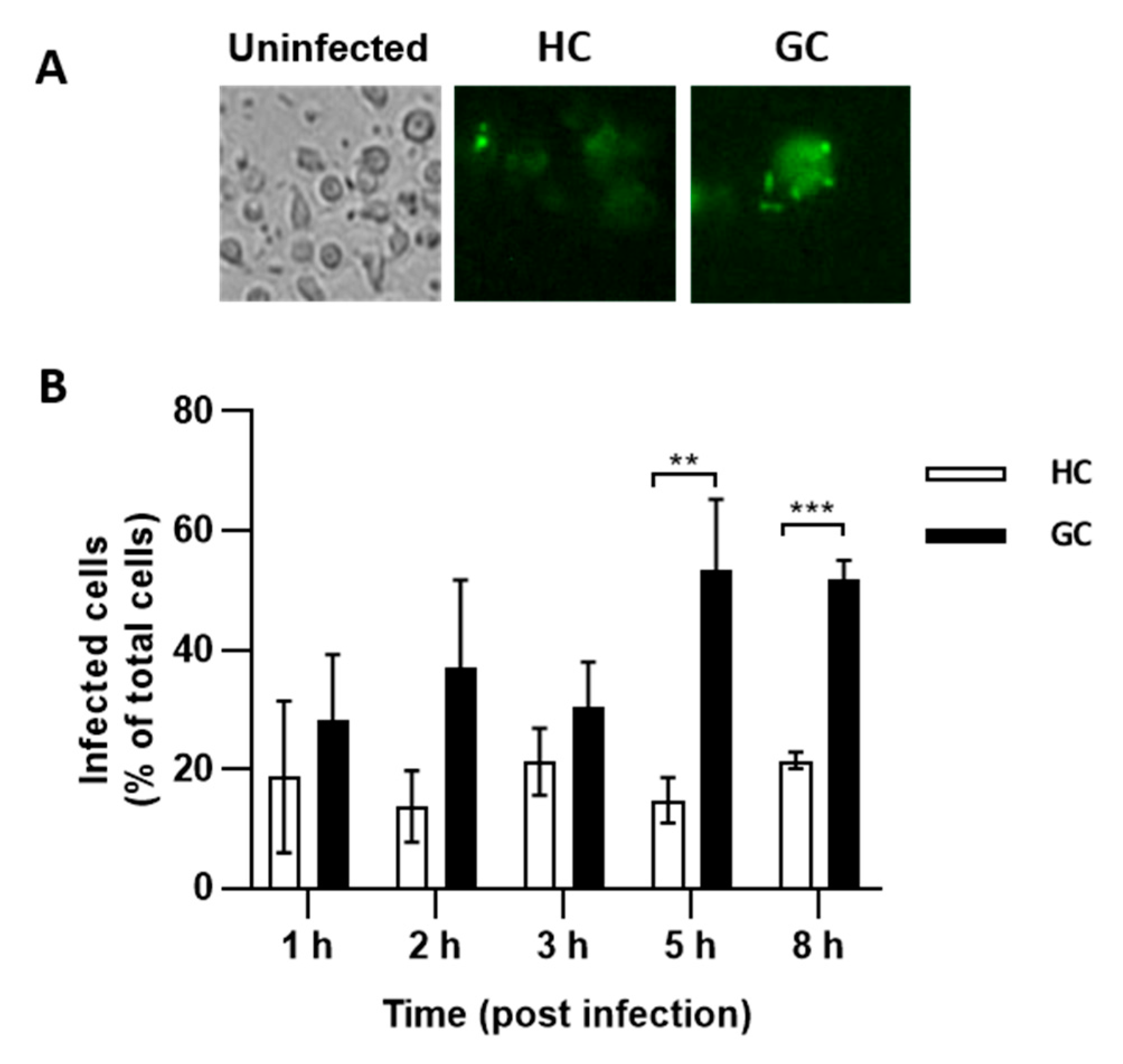 Antibiotics 09 00540 g004