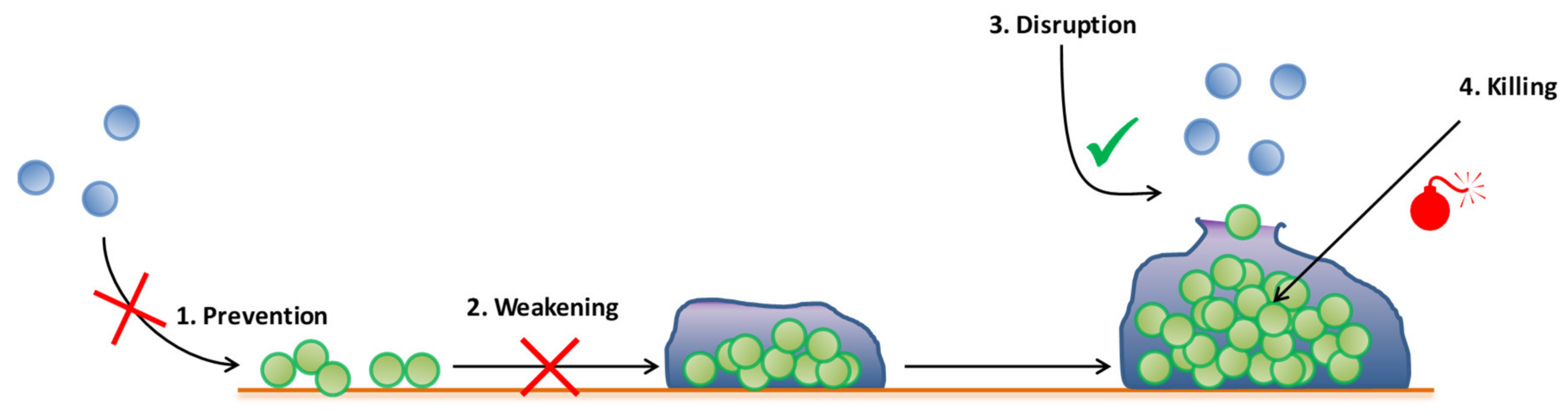 Antibiotics 09 00547 g003