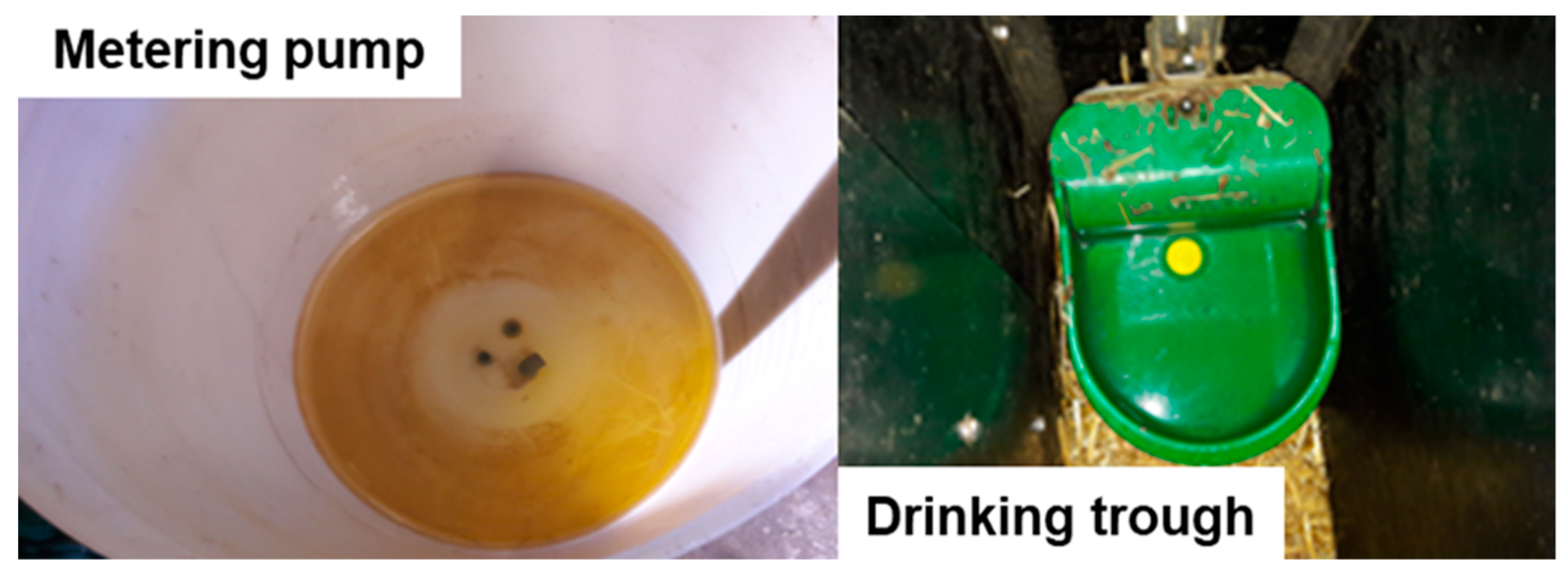 Antibiotics 09 00561 sch002