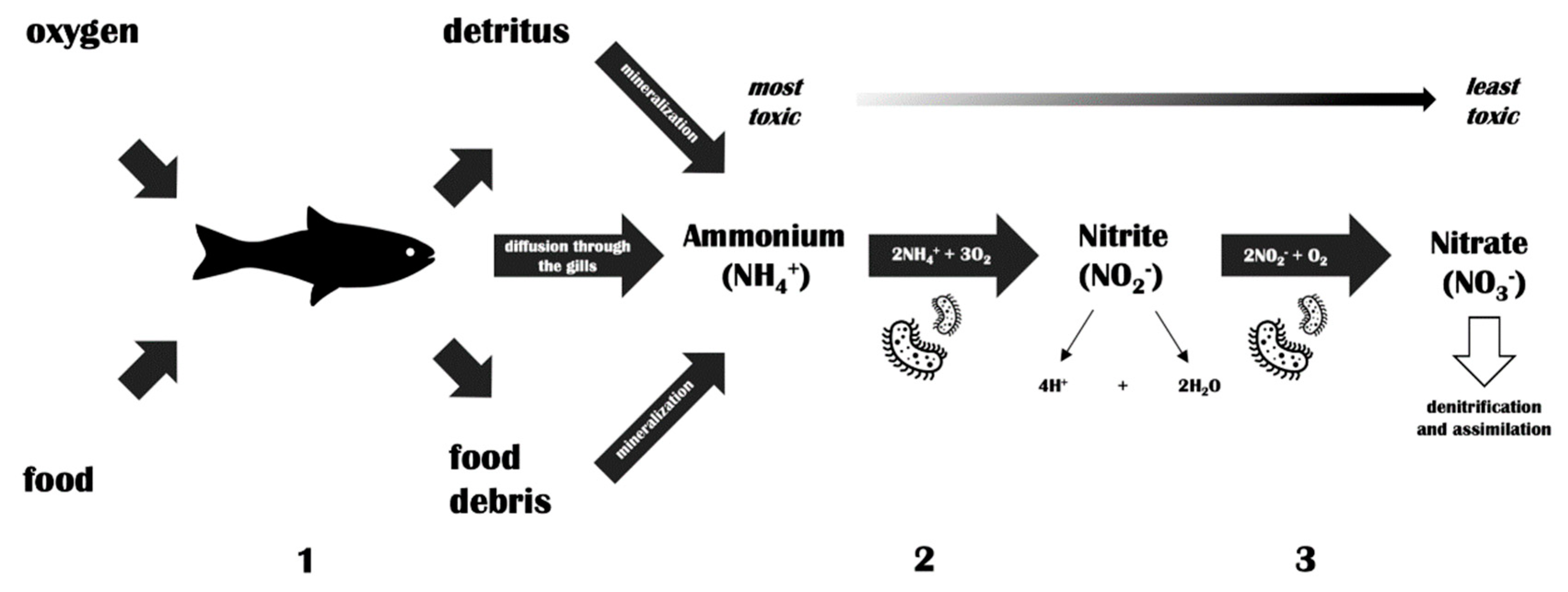 Antibiotics 09 00564 g001 Antibiotics 09 00564 g001