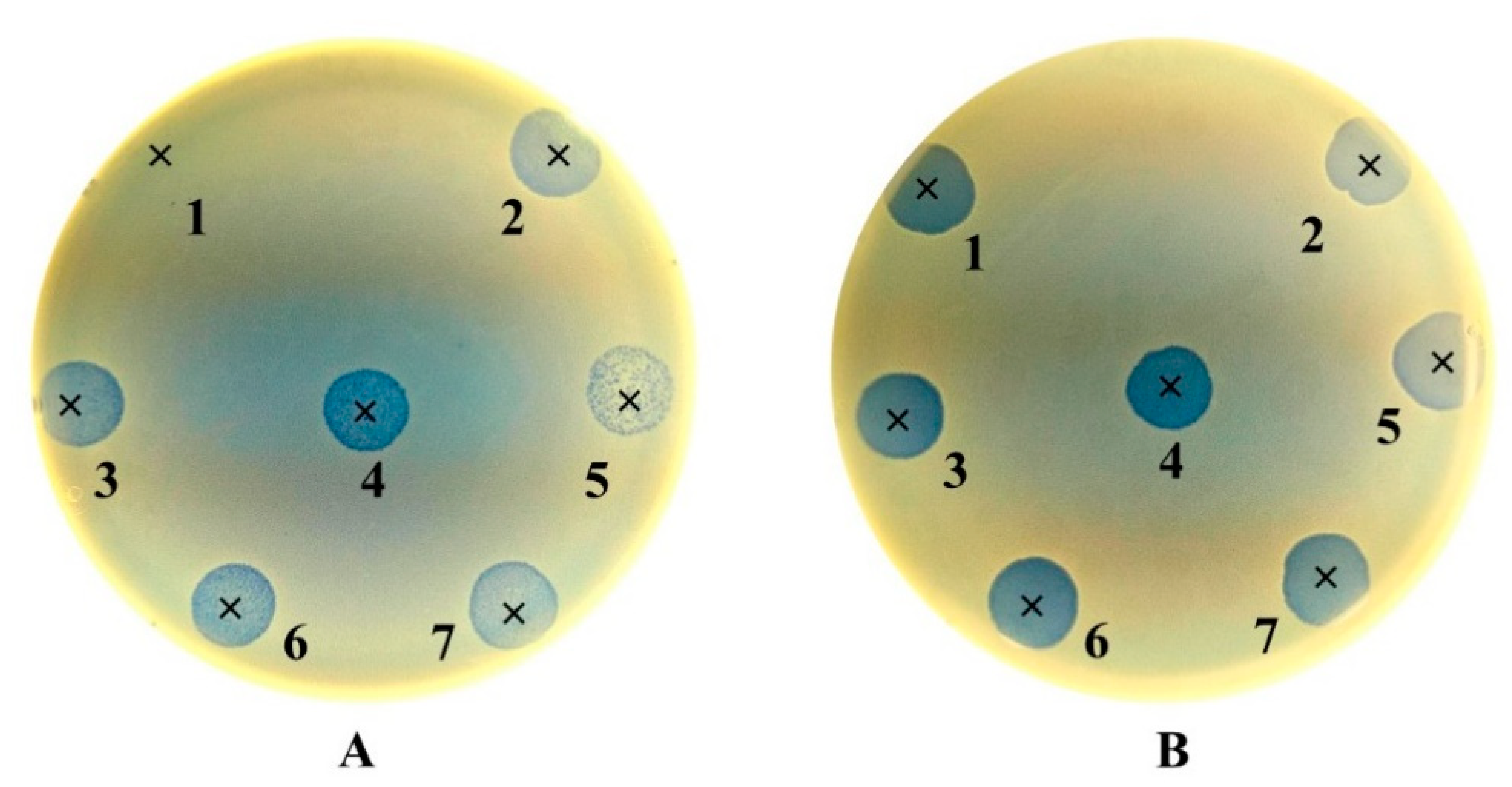 Antibiotics 09 00582 g002
