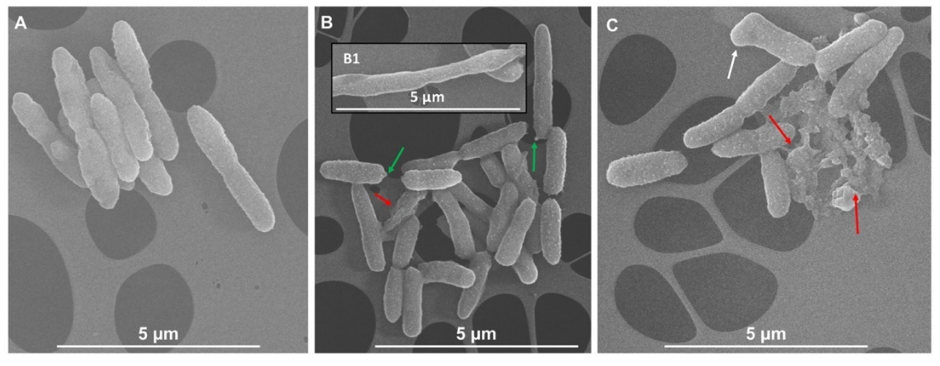 Antibiotics 09 00586 g005 Antibiotics 09 00586 g005