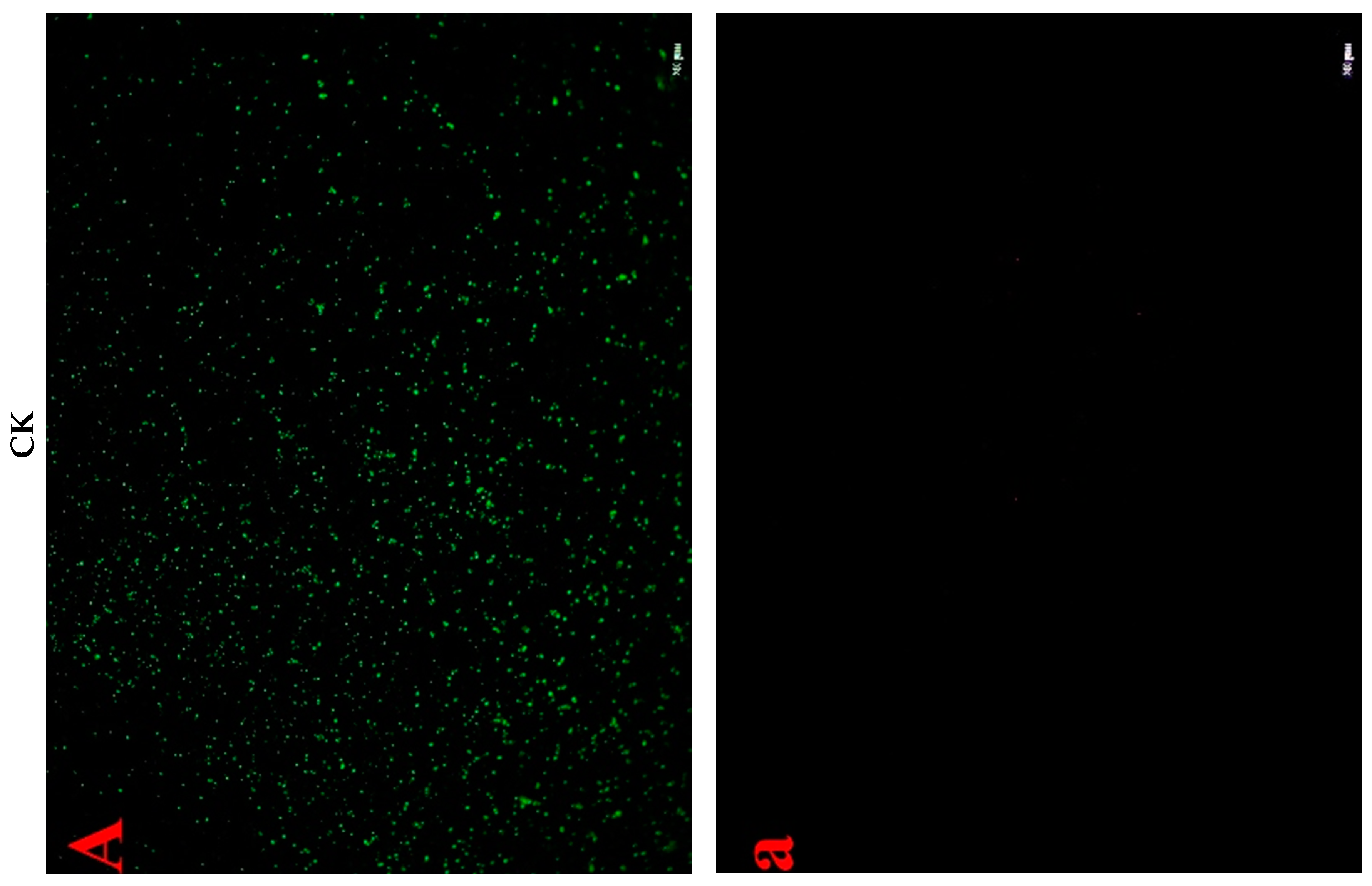 Antibiotics 09 00593 g007a
