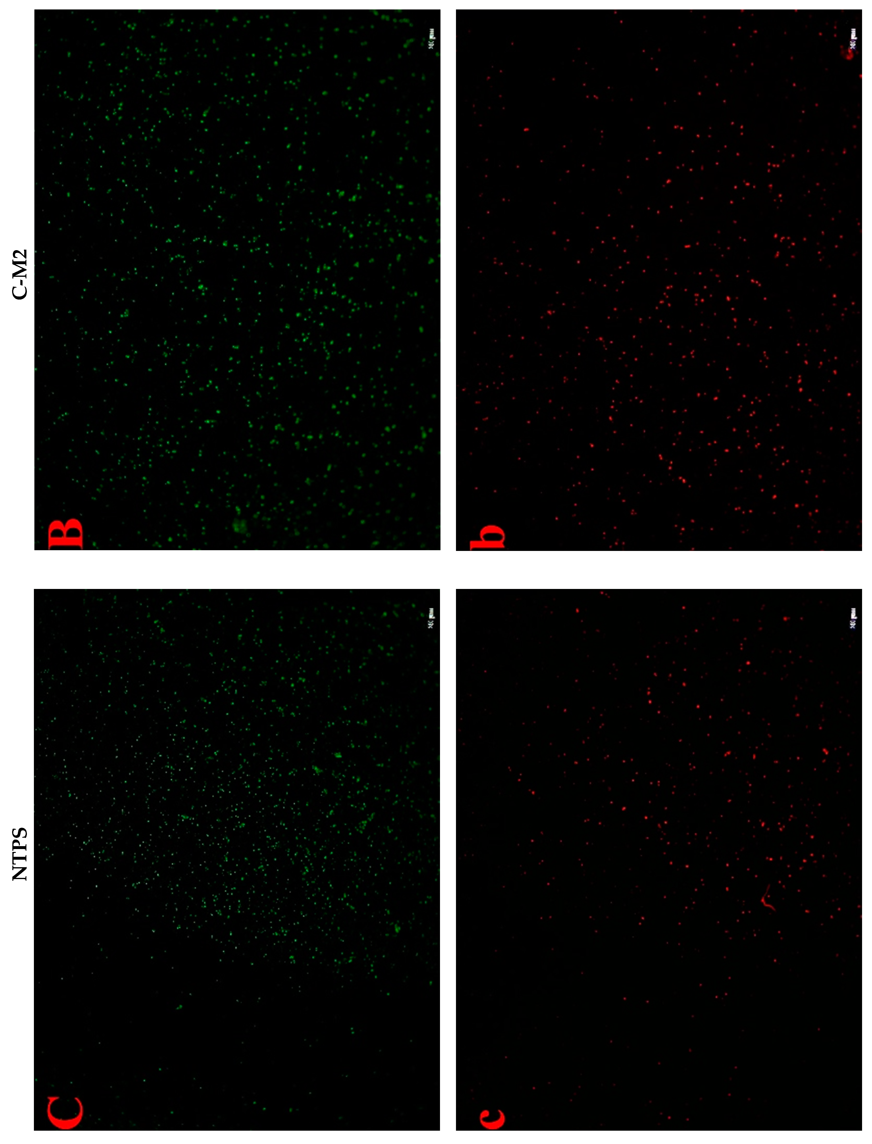 Antibiotics 09 00593 g007b