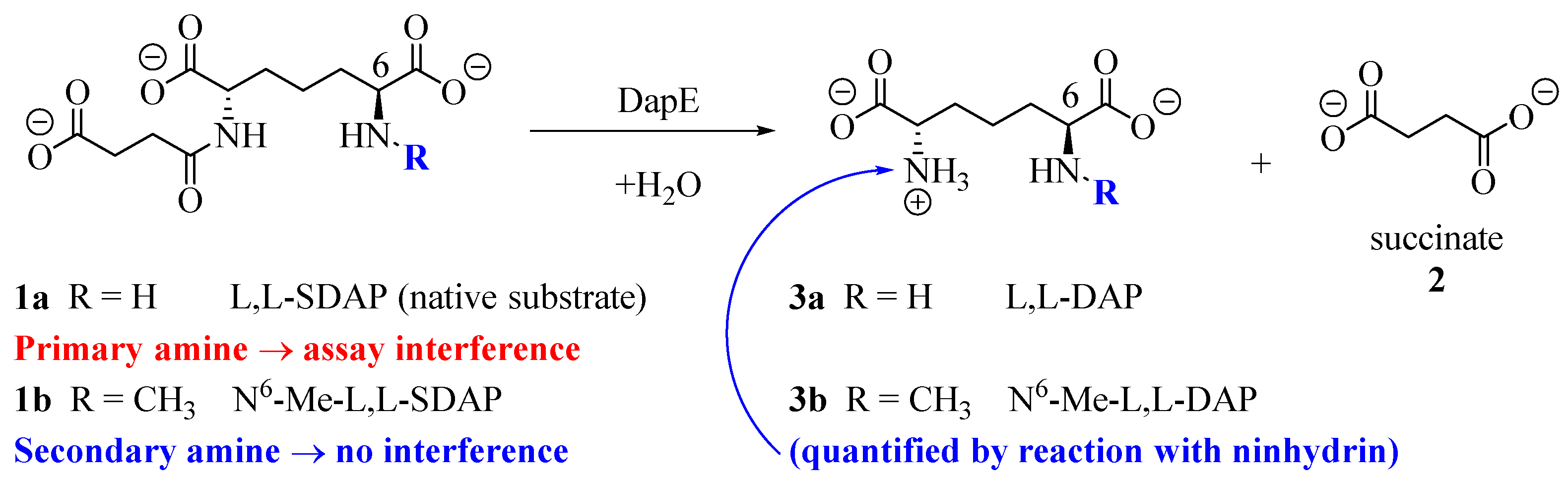 Antibiotics 09 00595 g001