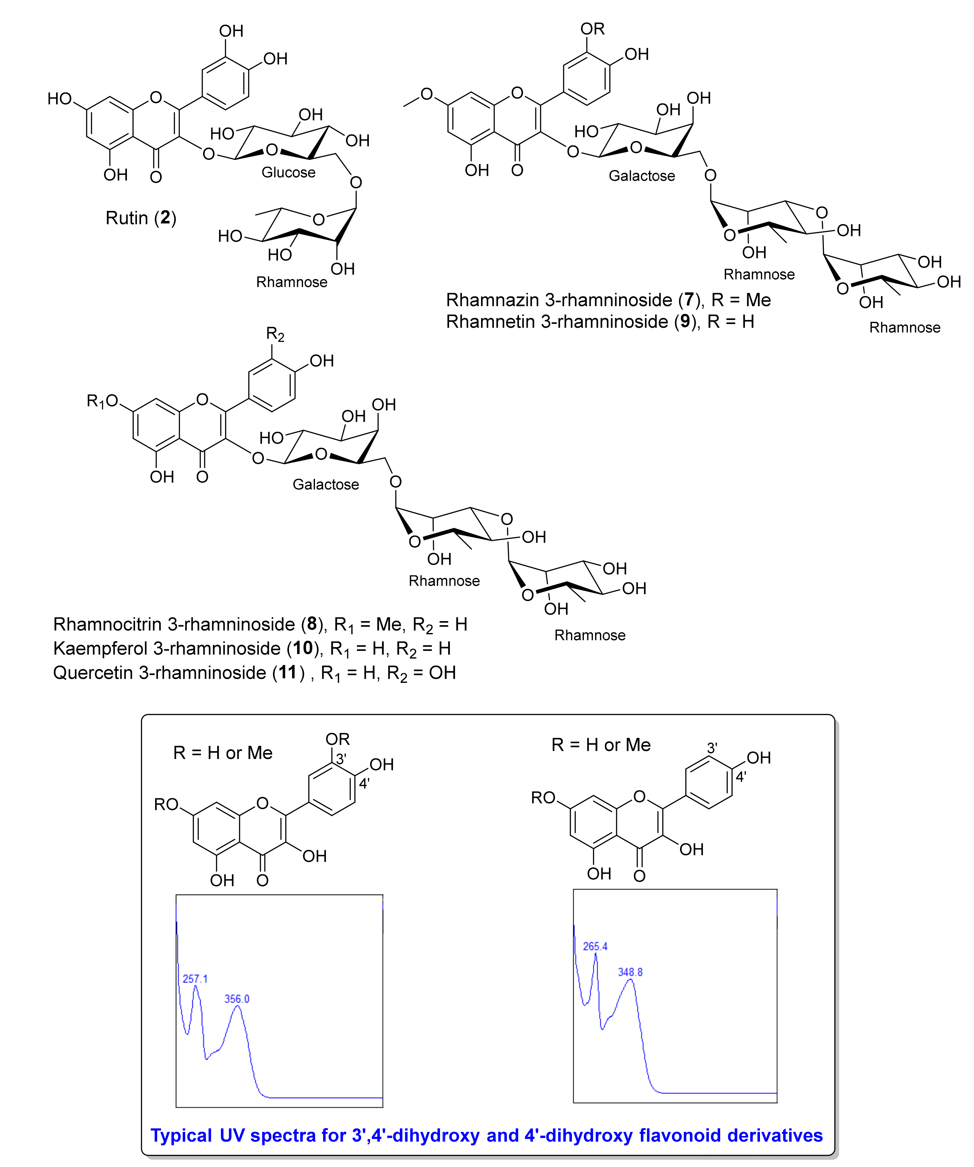 Antibiotics 09 00606 g003