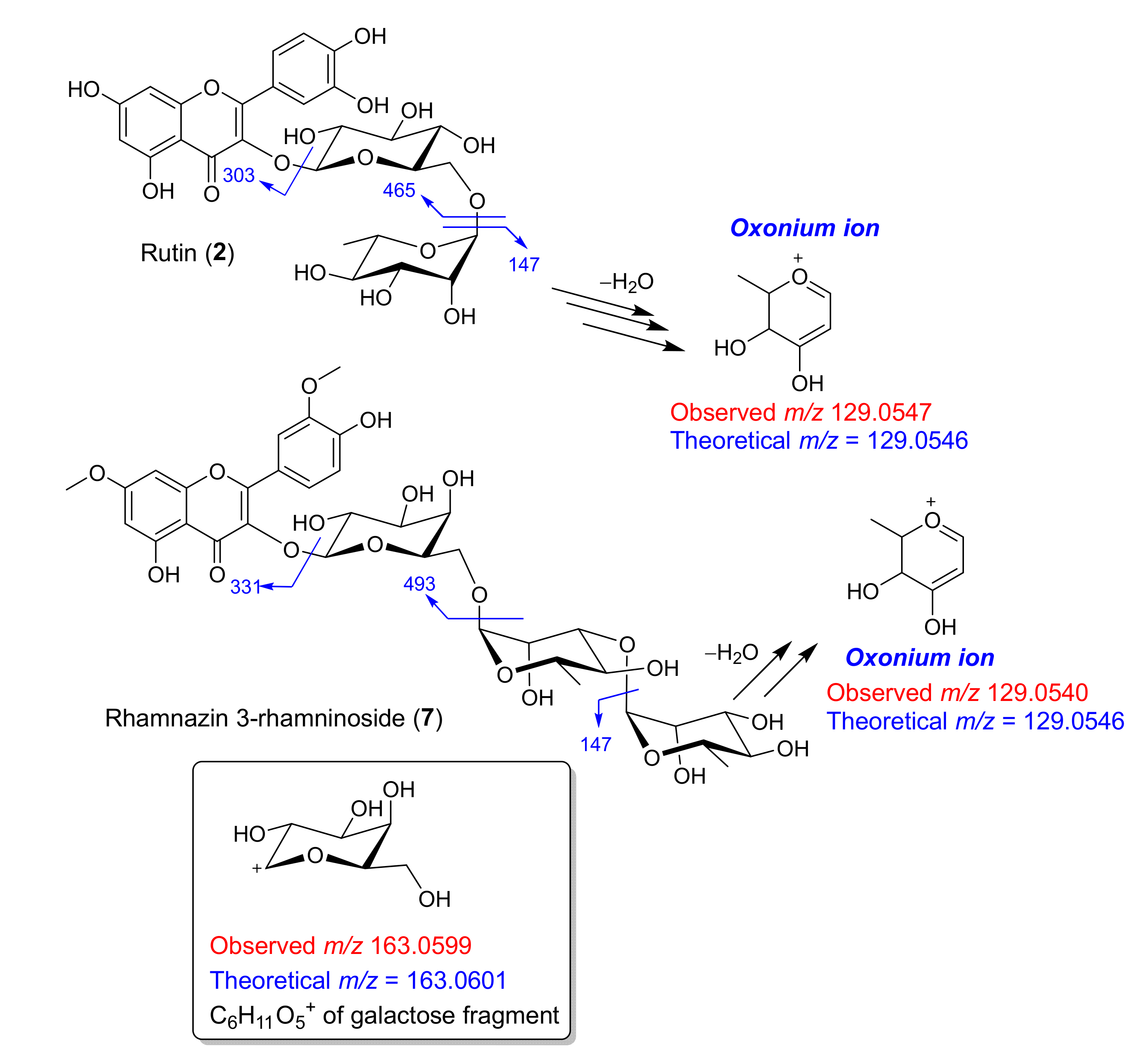 Antibiotics 09 00606 g004