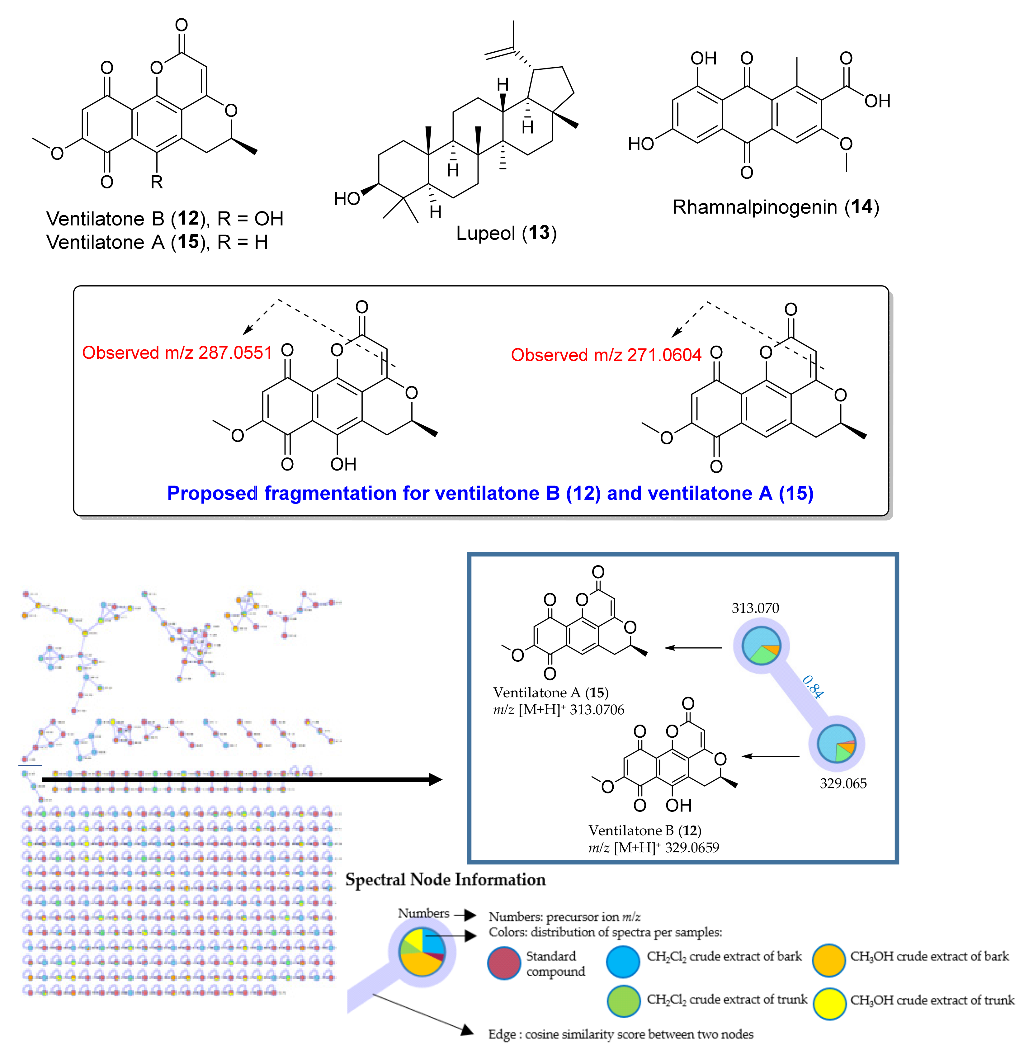 Antibiotics 09 00606 g005
